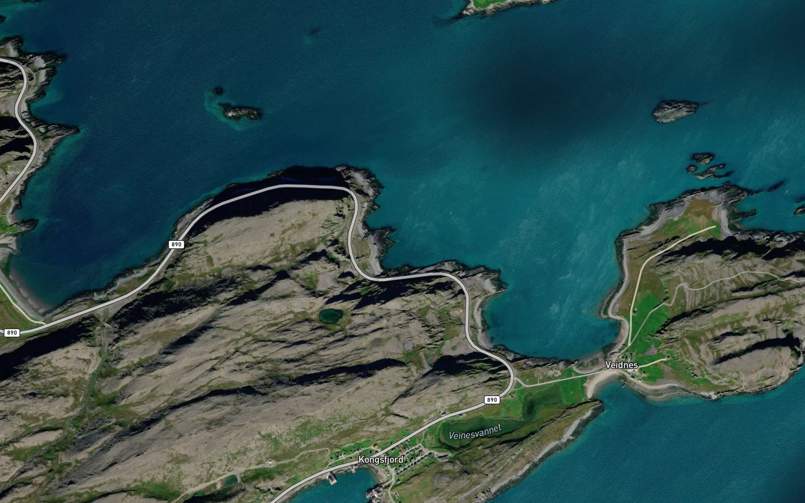 Hergevika