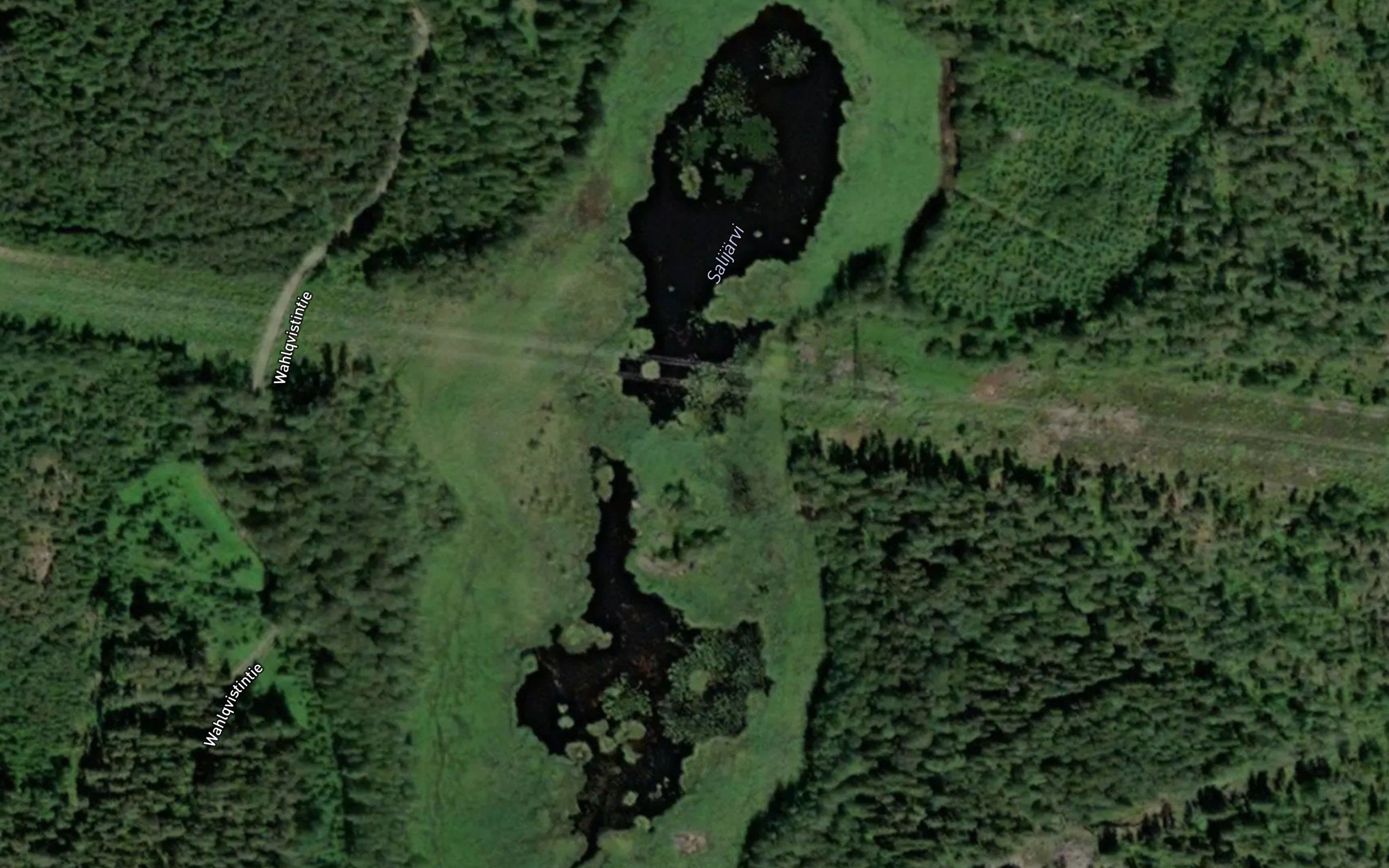Salijarvi