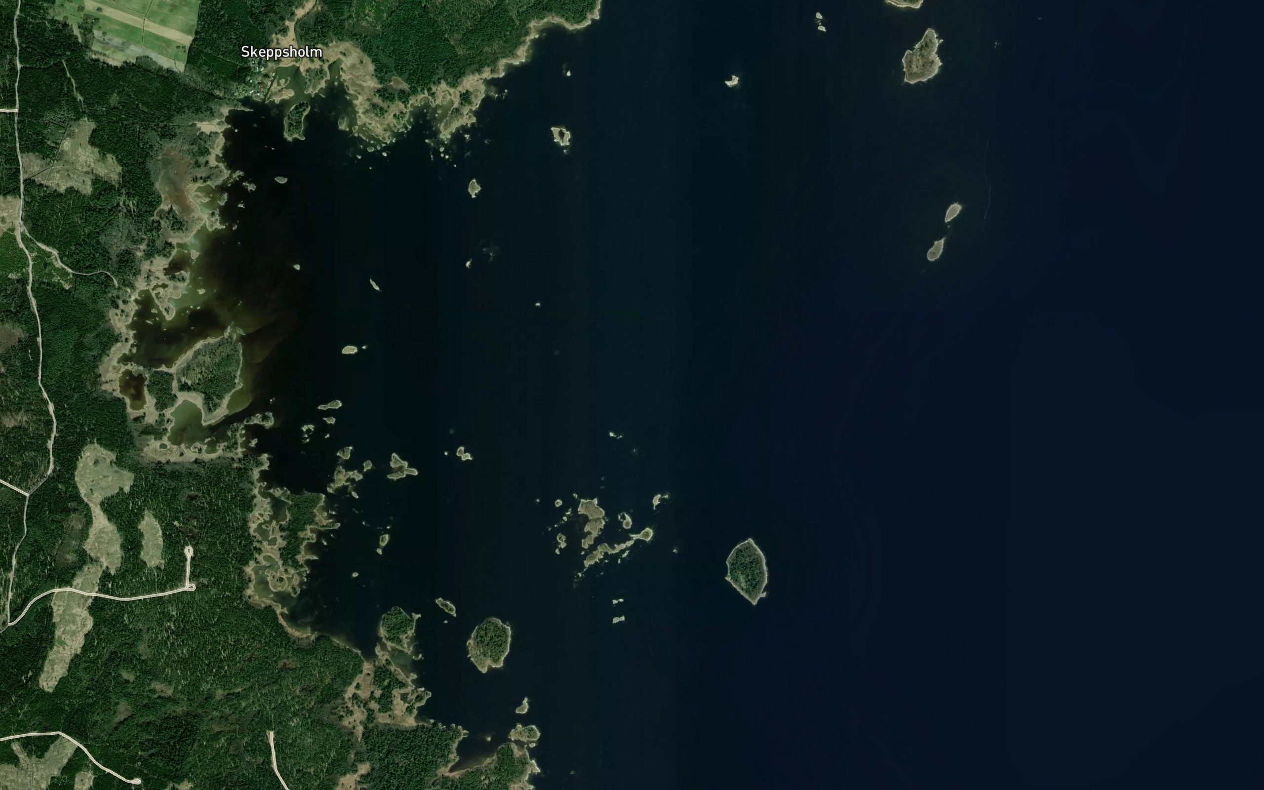 Vitgrundorarna