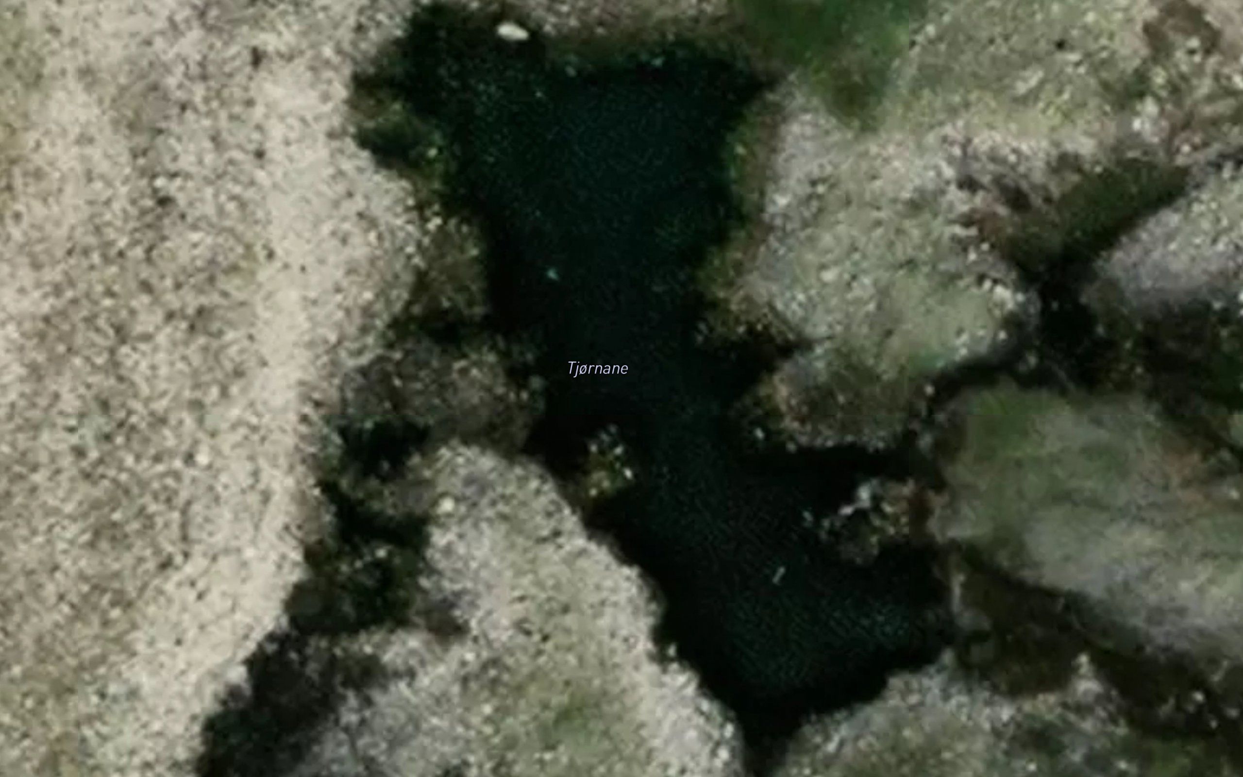 Tjornane