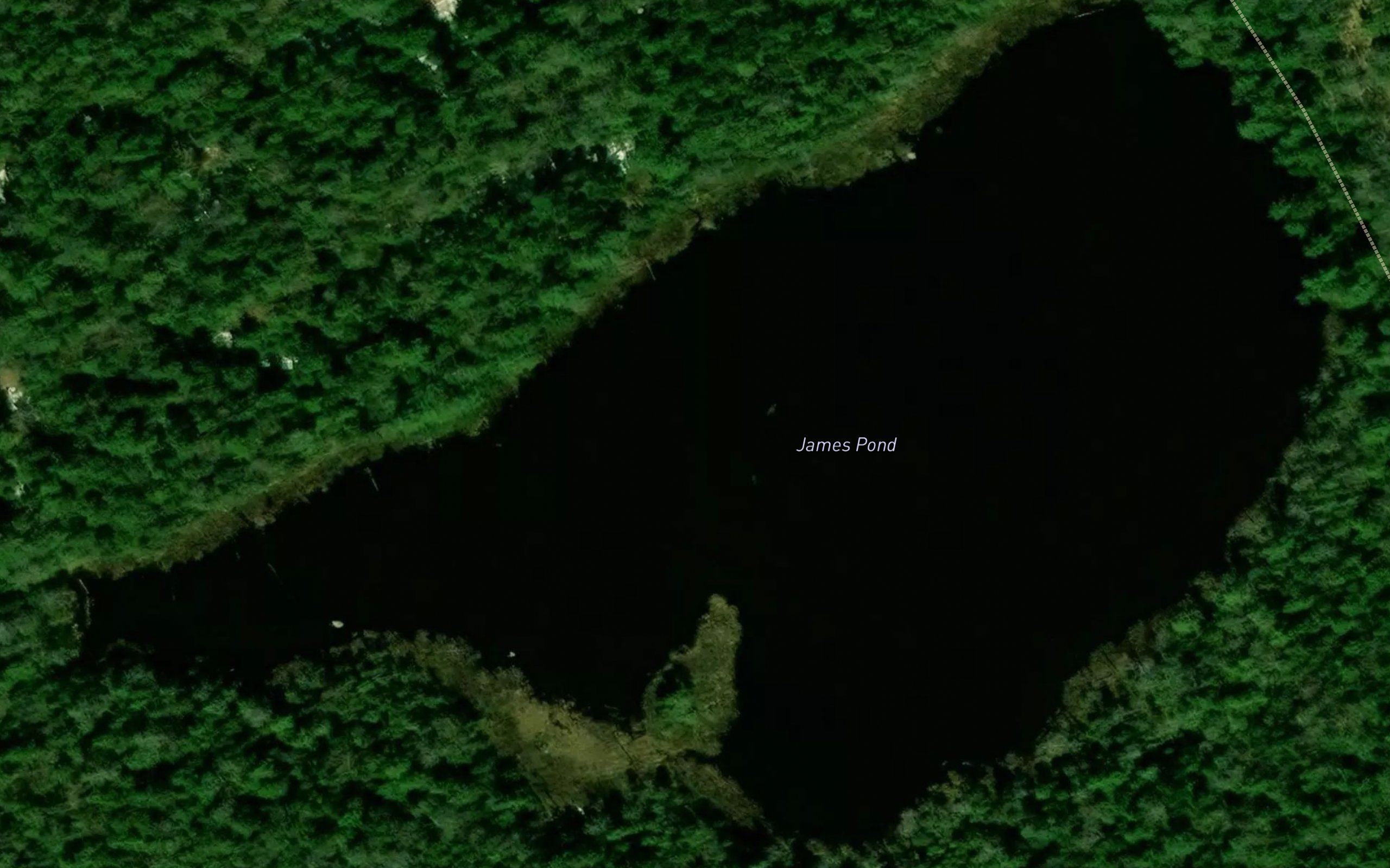 James Pond