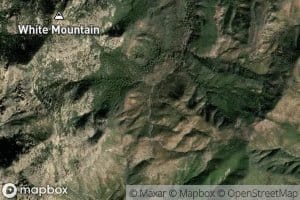 Reavis Saddle Spring