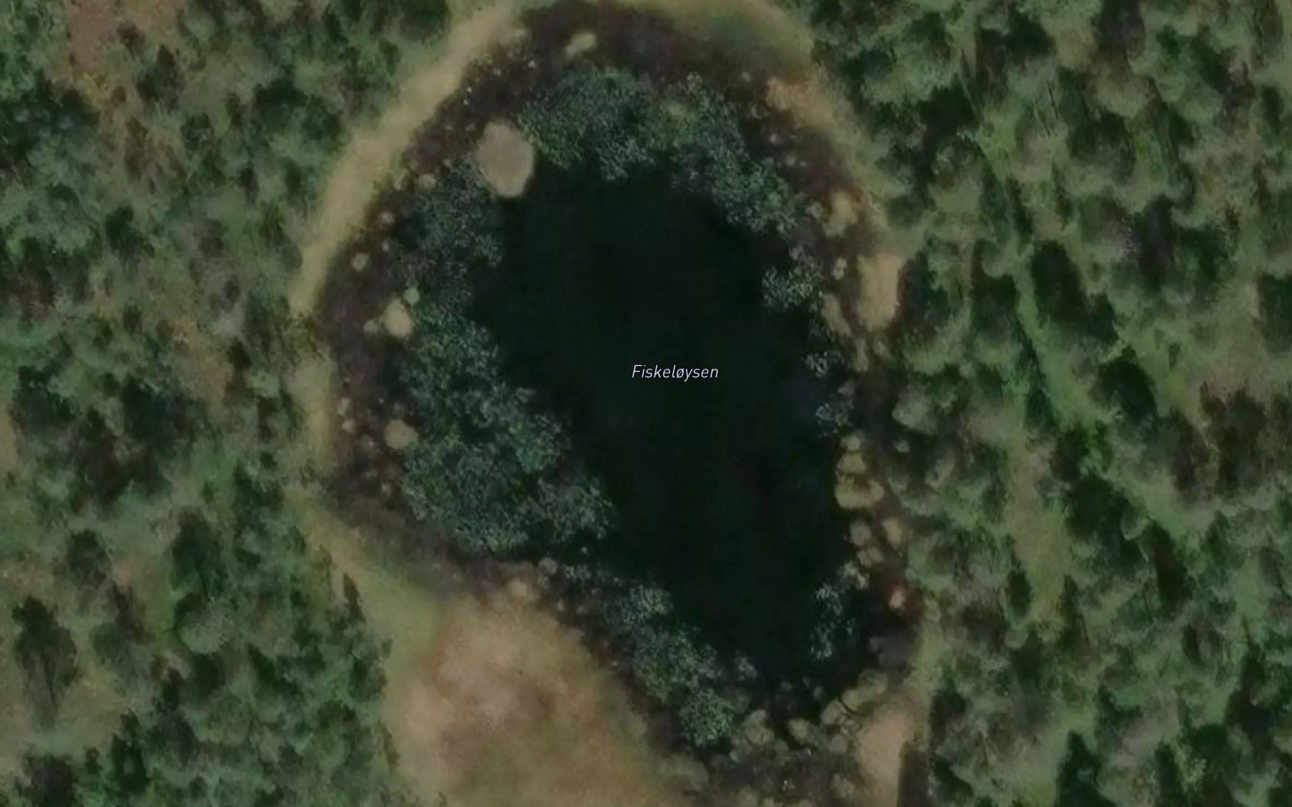 Fiskloysen