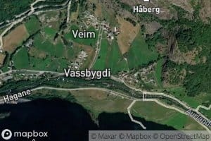 Veimsgrovi