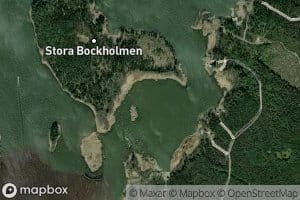 Grasorsviken