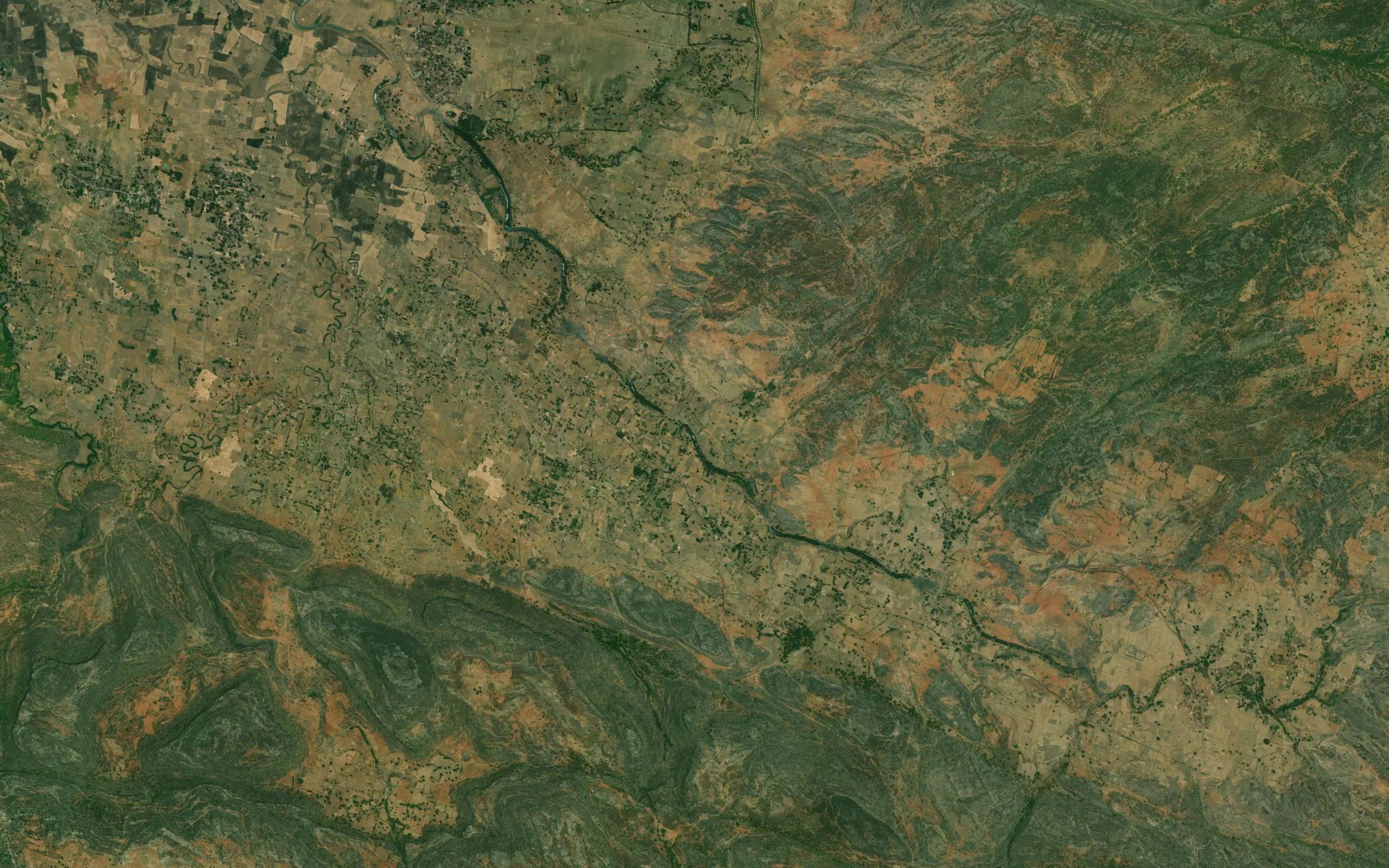 Chiraidda Nala