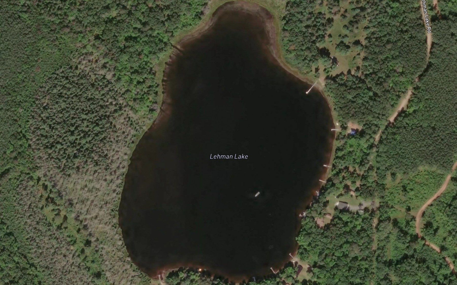 Satellite map of the Lehman Lake