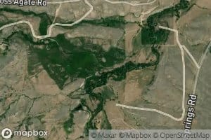 Moss Agate Creek