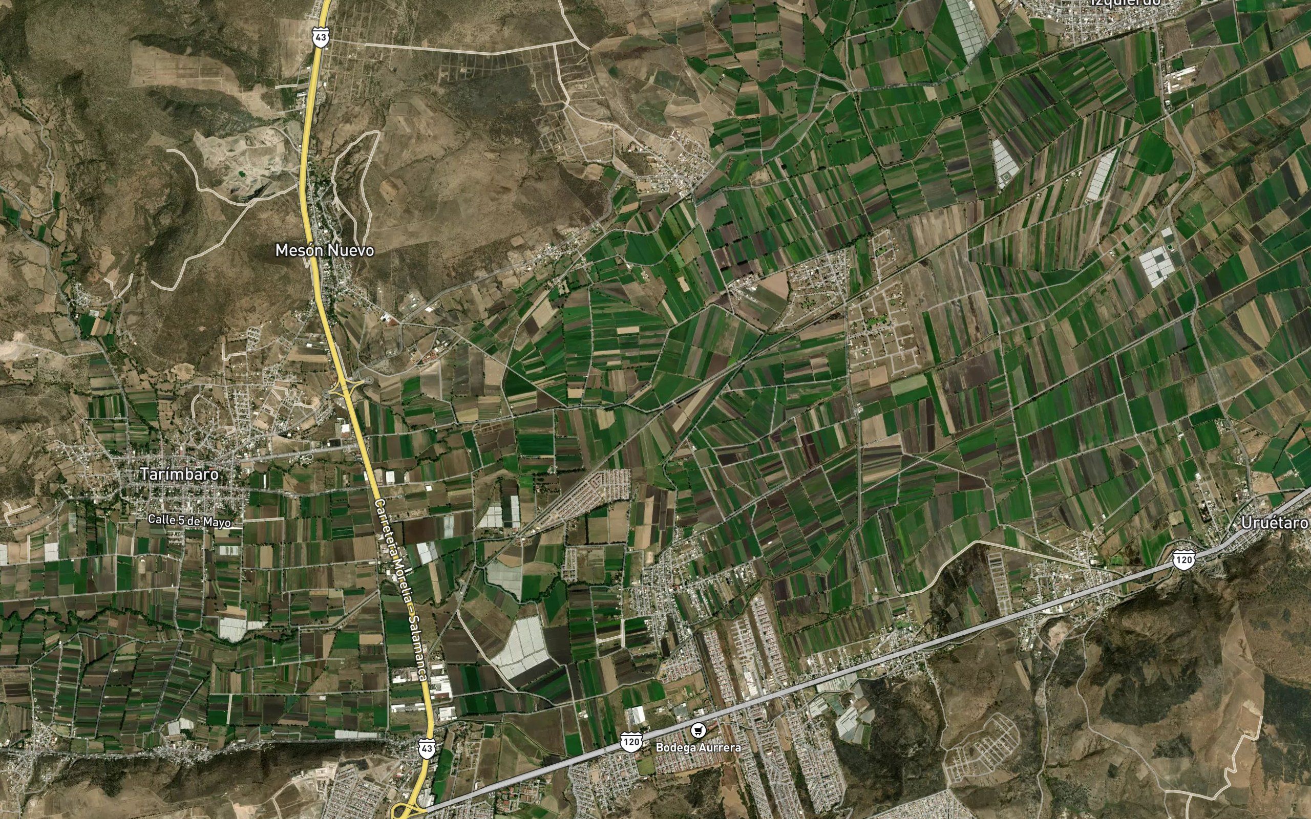 El Limon