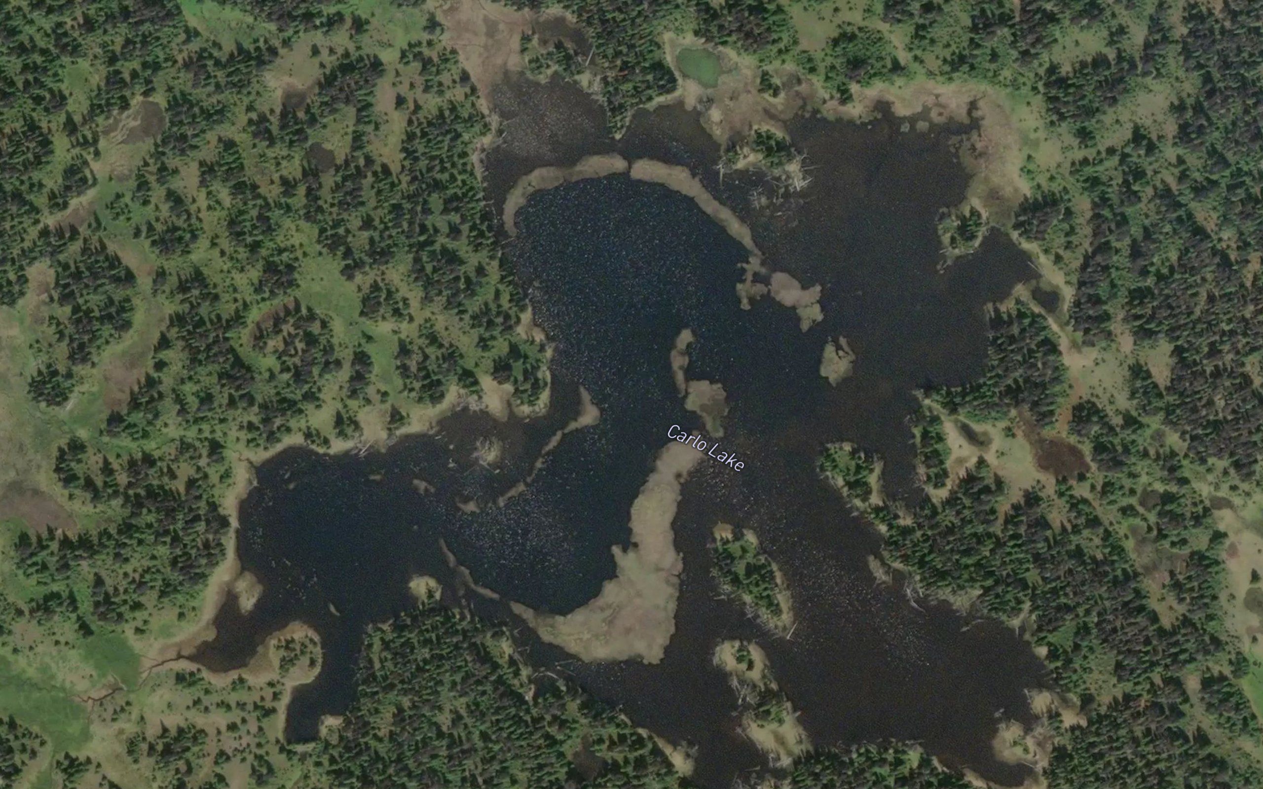 Carlo Lake