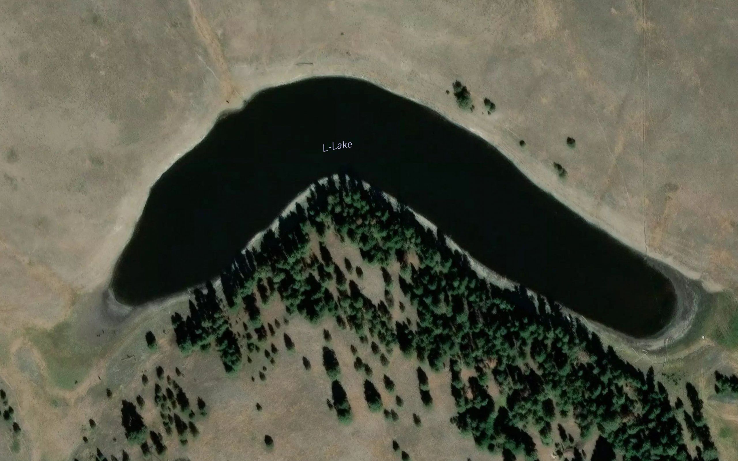 L-Lake