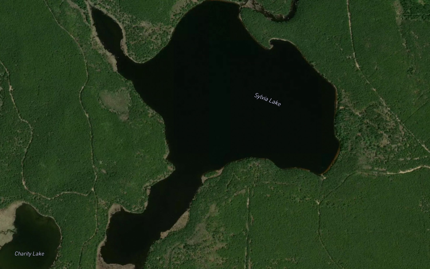 Satellite map of the Sylvia Lake