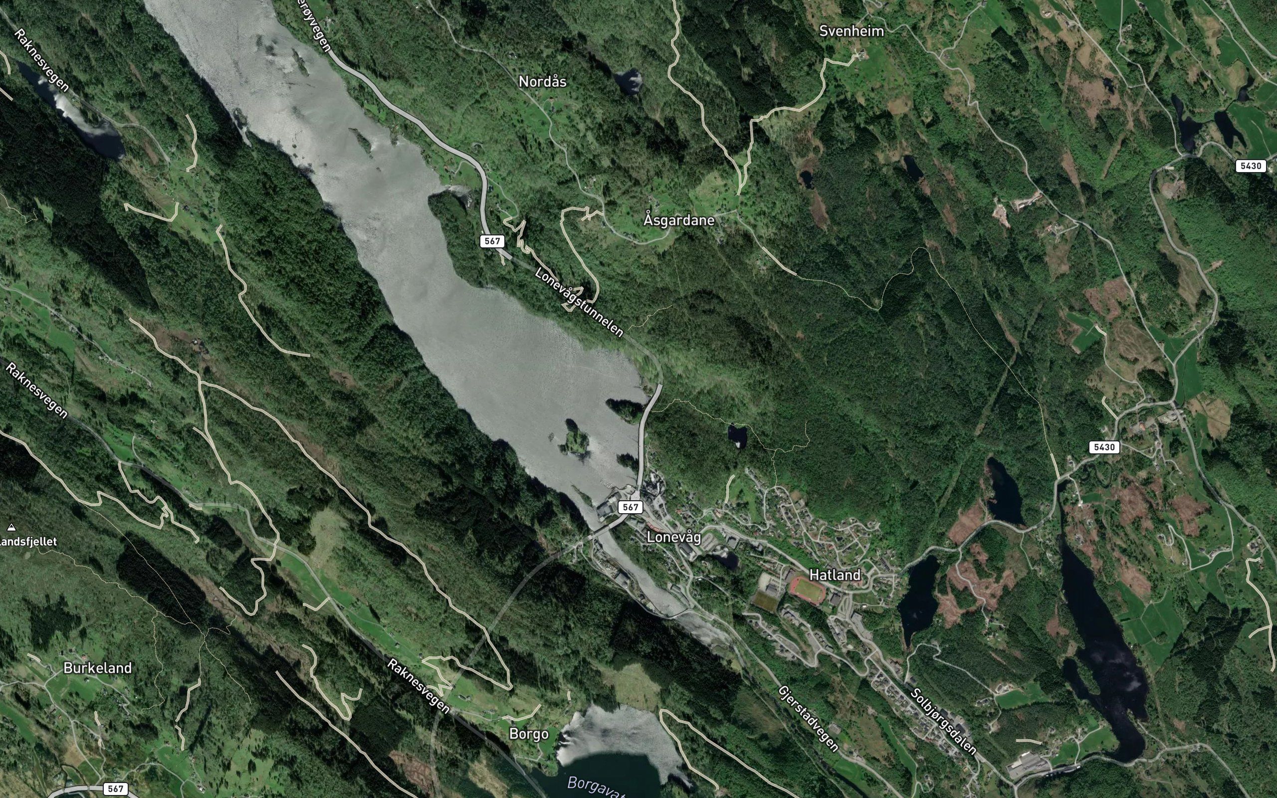 Svenneviki