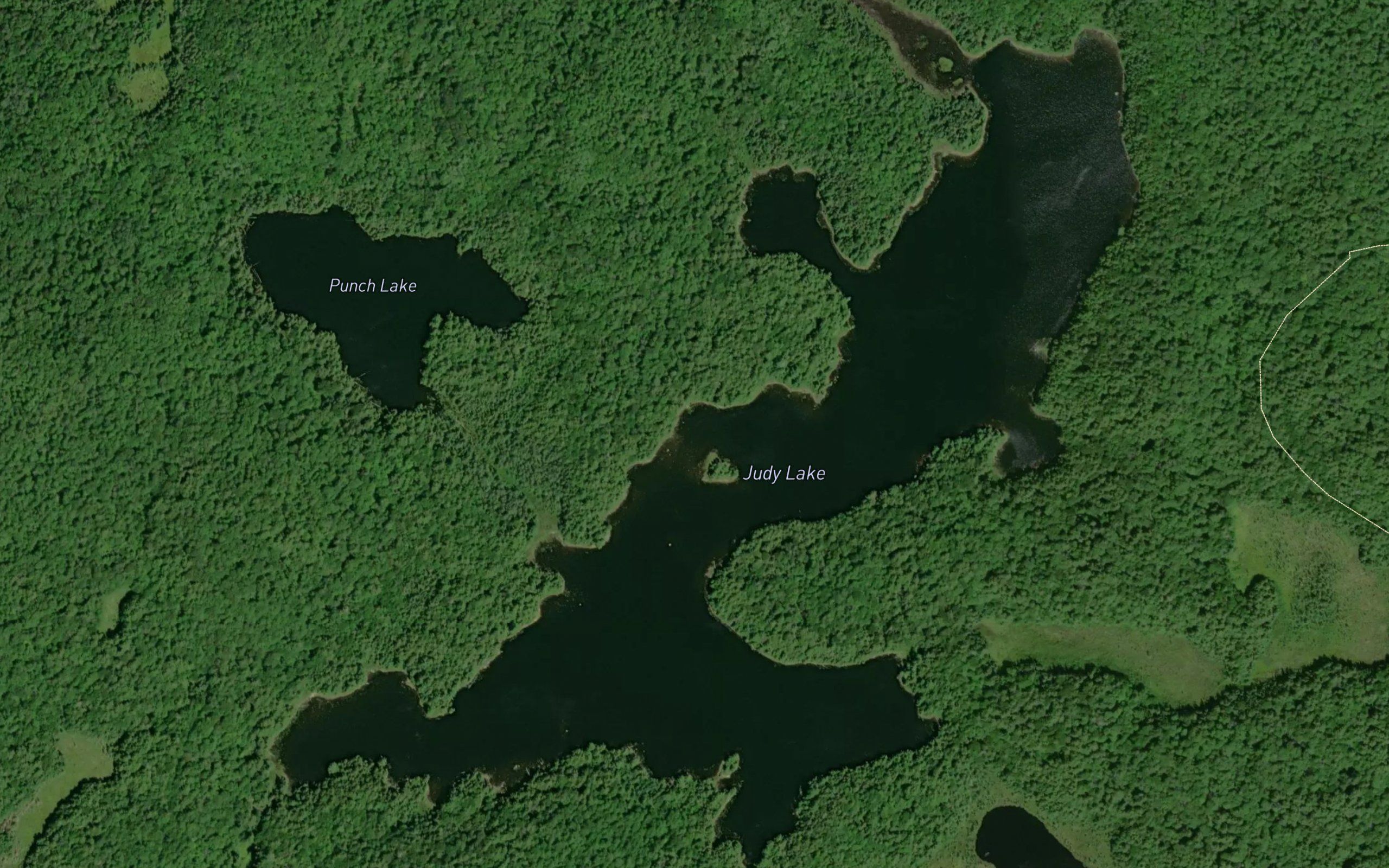 Judy Lake