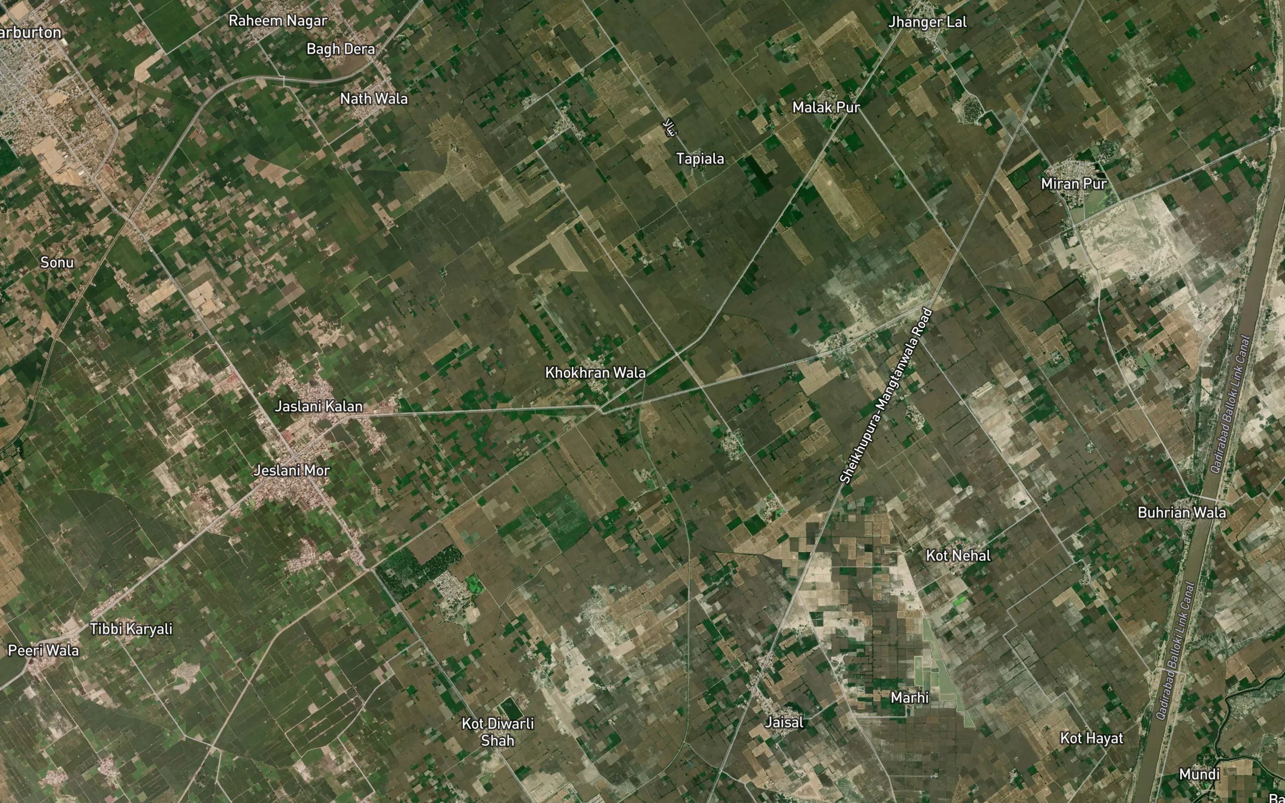 Tashpur Minor