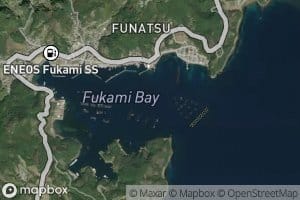 Fukami Wan