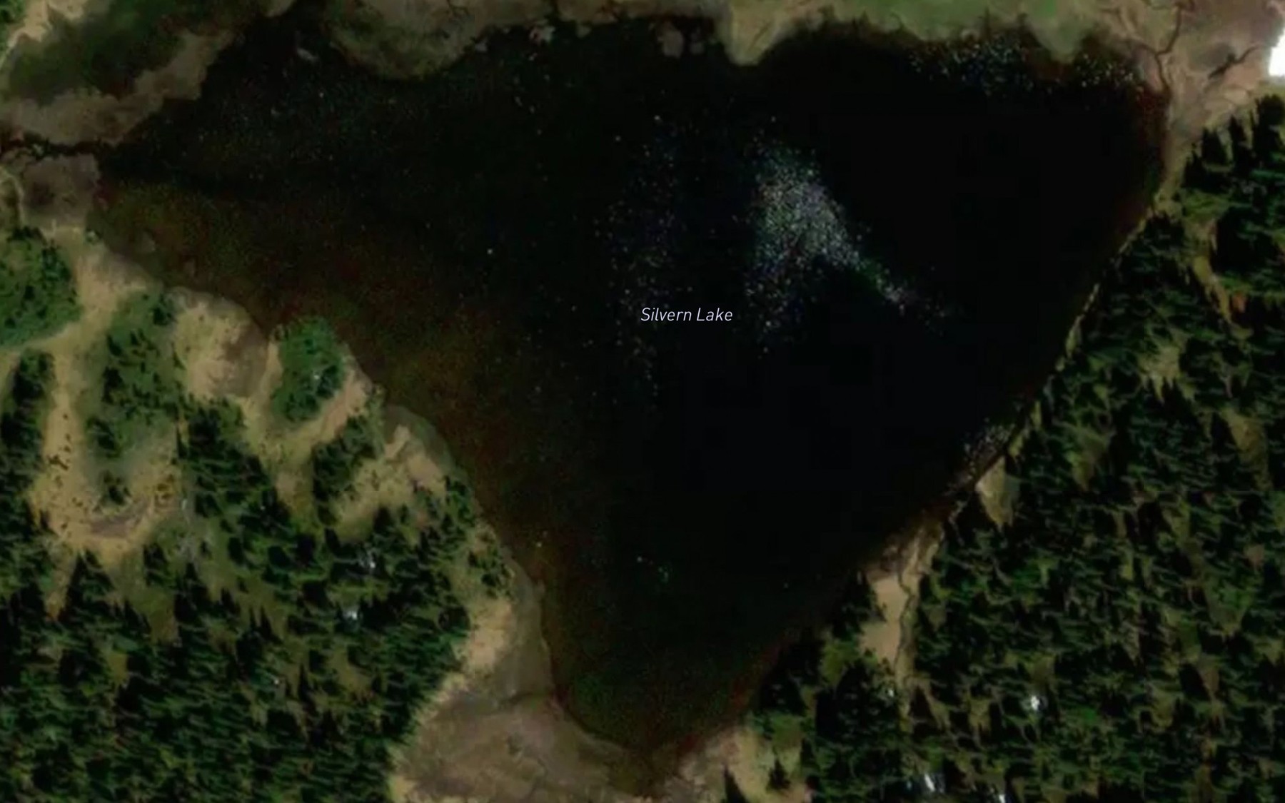 Satellite map of the Silvern Lake