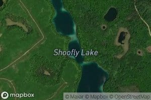 Shoofly Lake