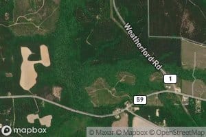 Little Nancey Branch