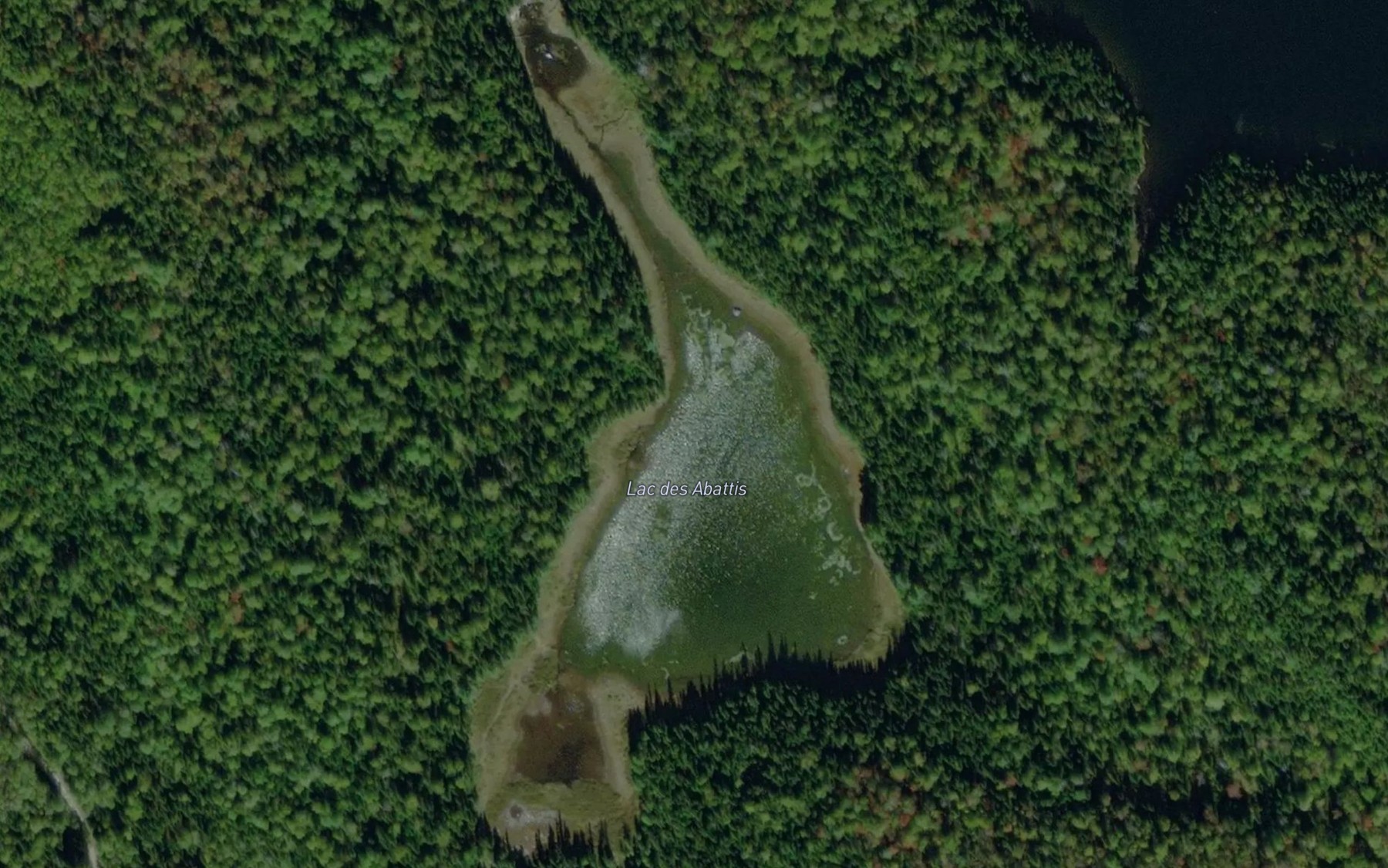 Satellite map of the Lac des Abattis