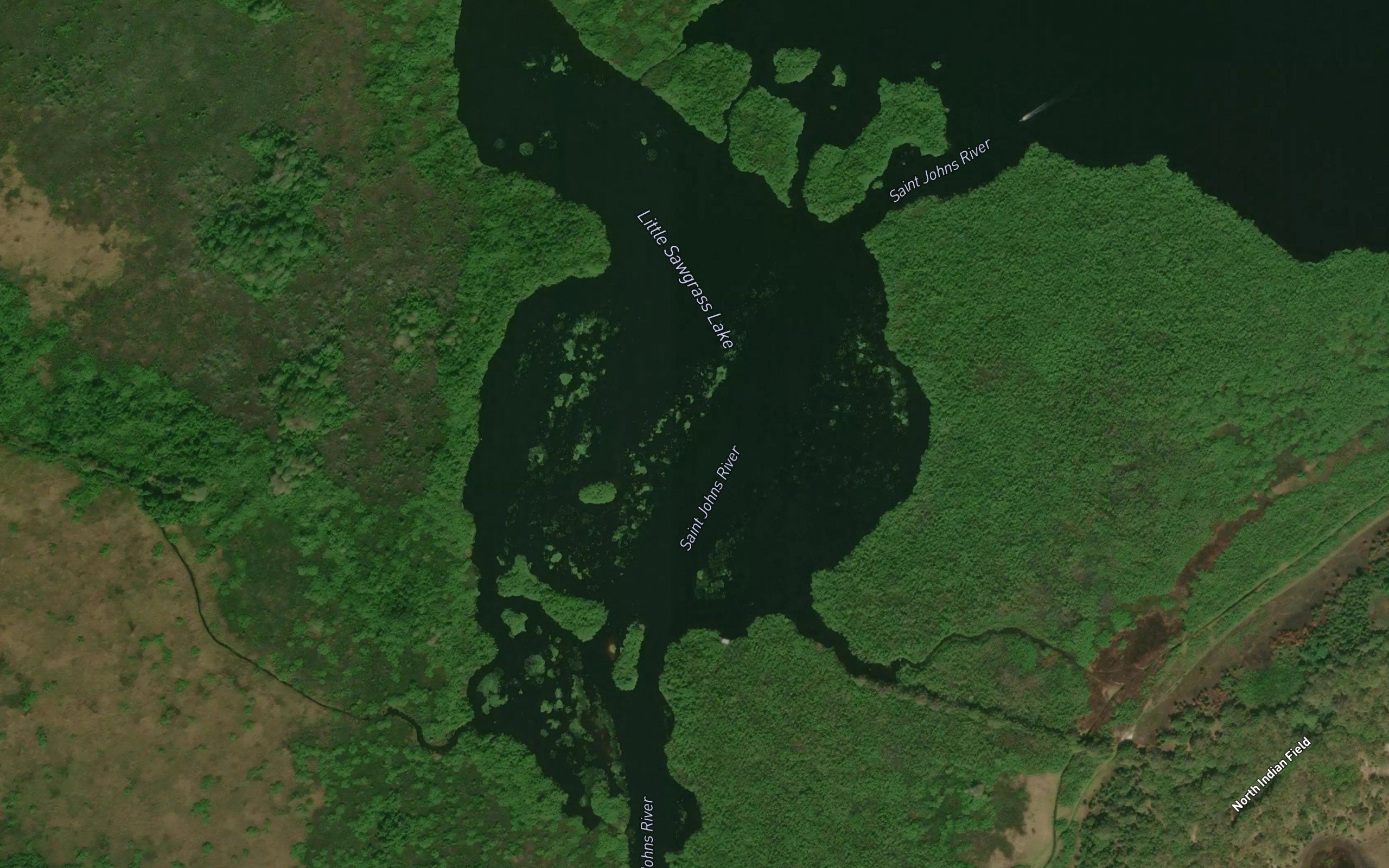 Little Sawgrass Lake