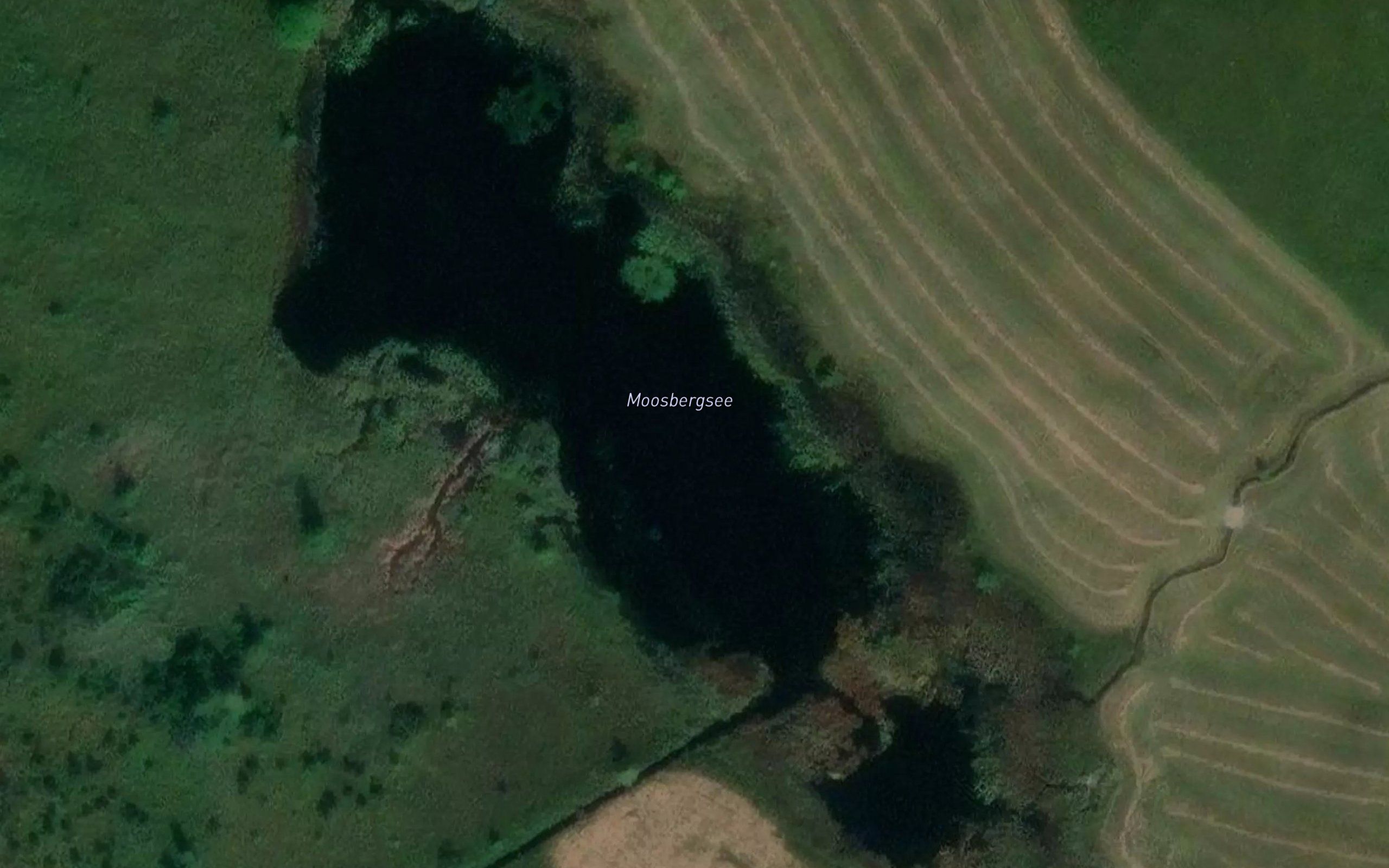 Moosbergsee
