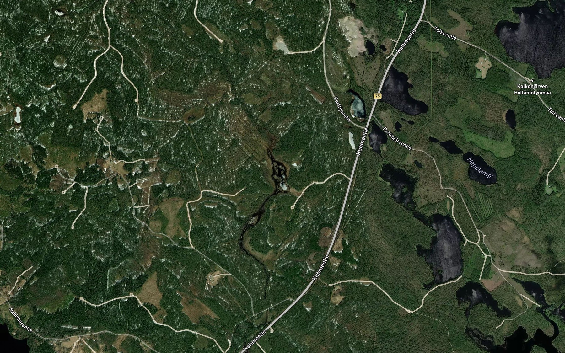 Satellite map of the Petrinlampi