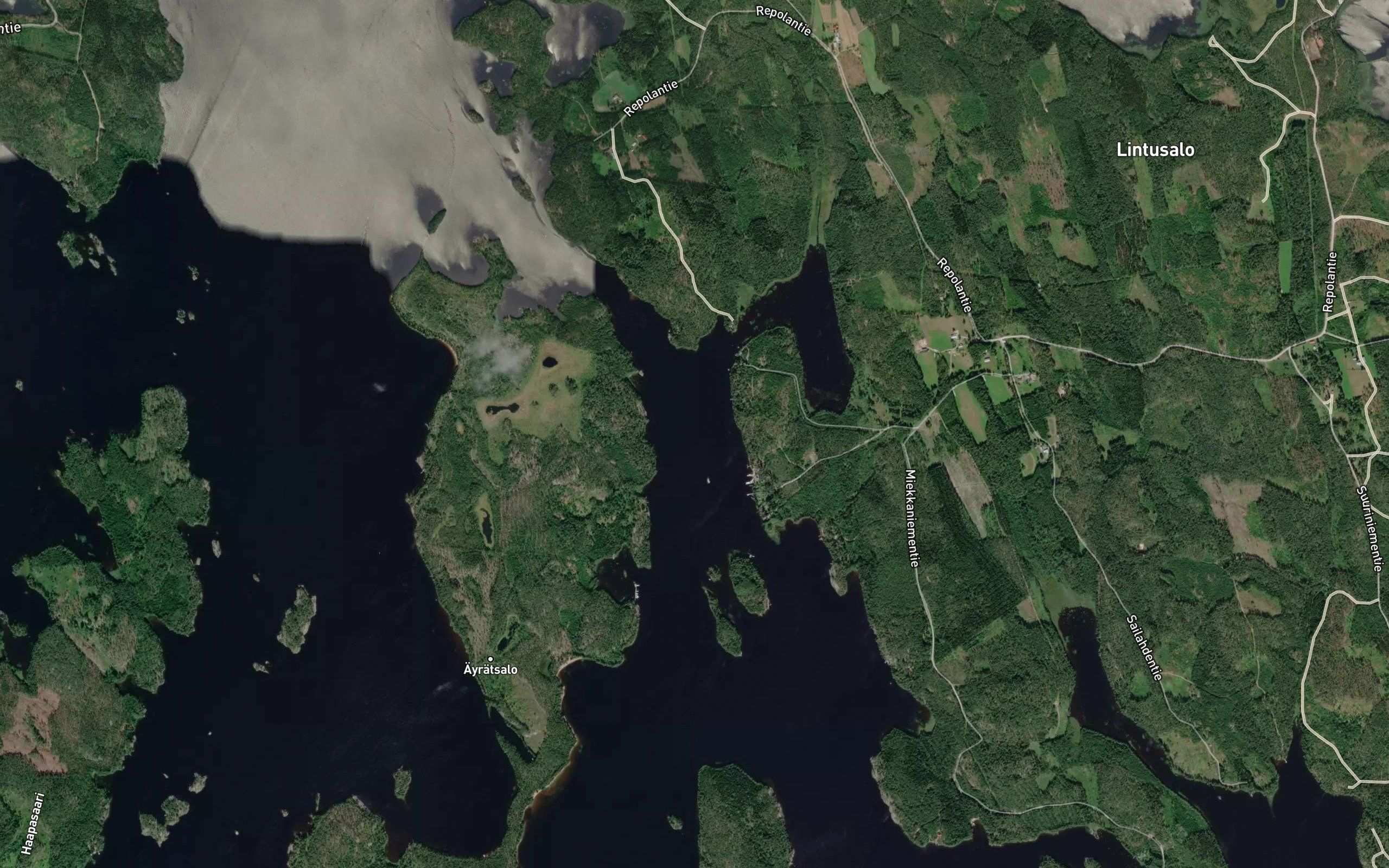 Saaskenvirta