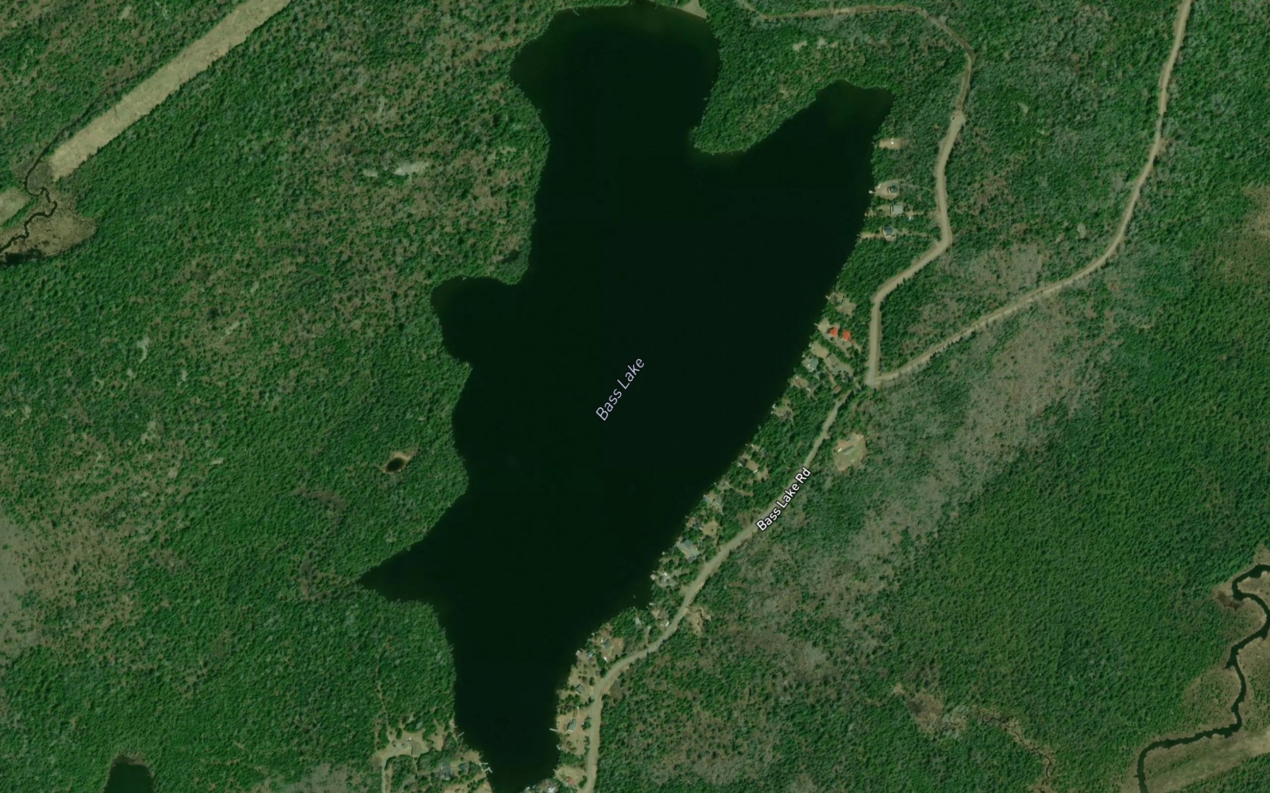Satellite map of the Bass Lake