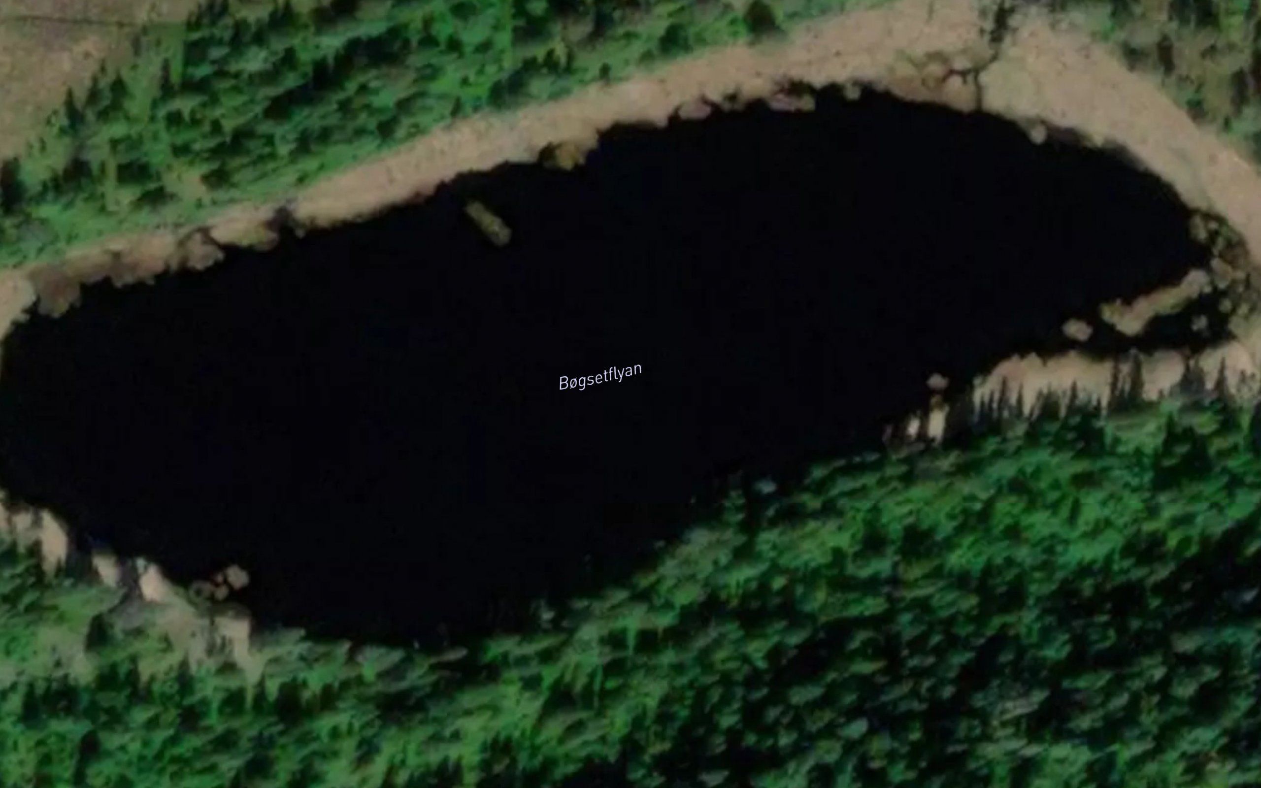 Bogsetflyan