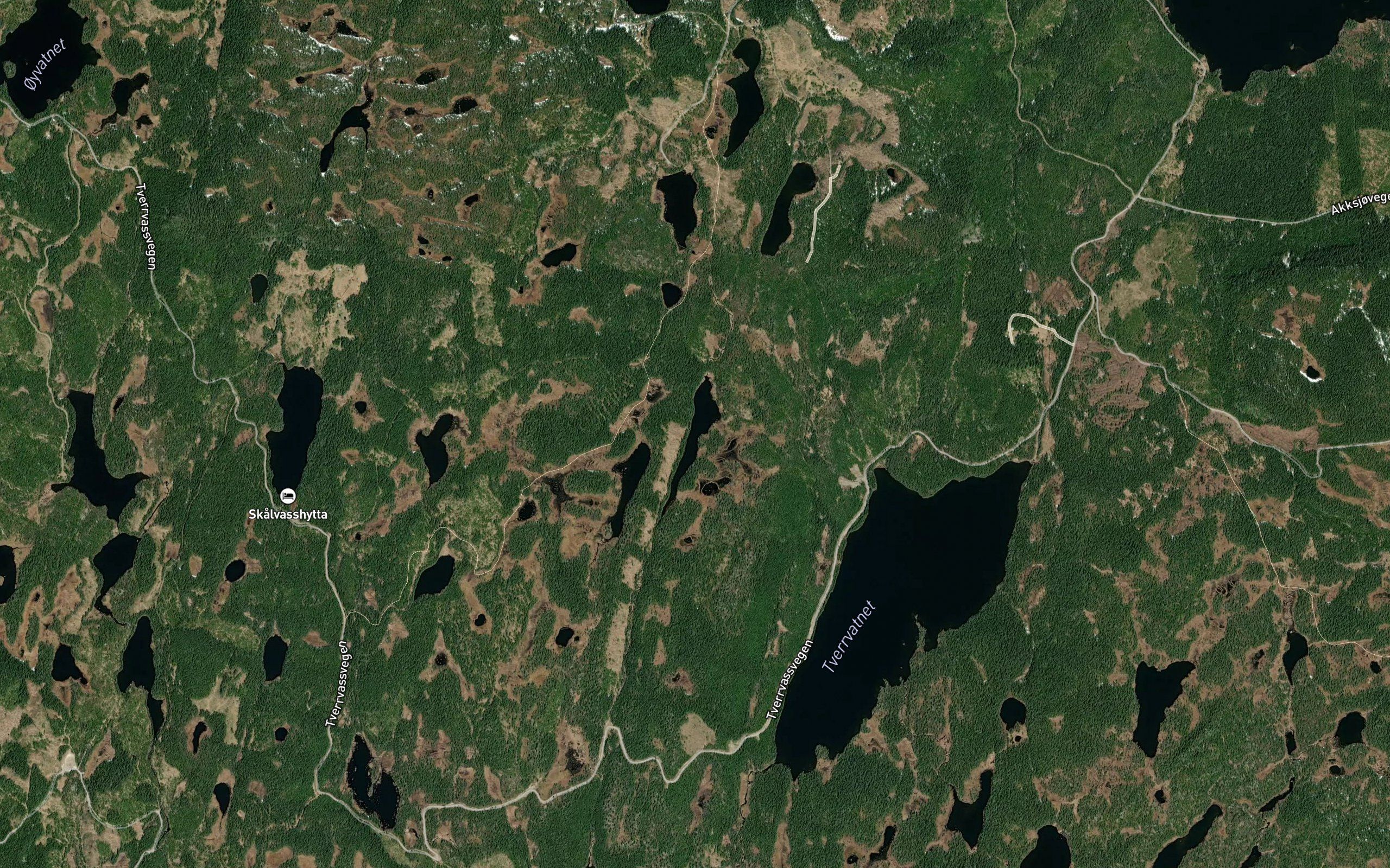 Nedre Bjorkelivatnet
