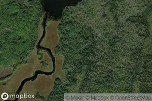 Mercer River
