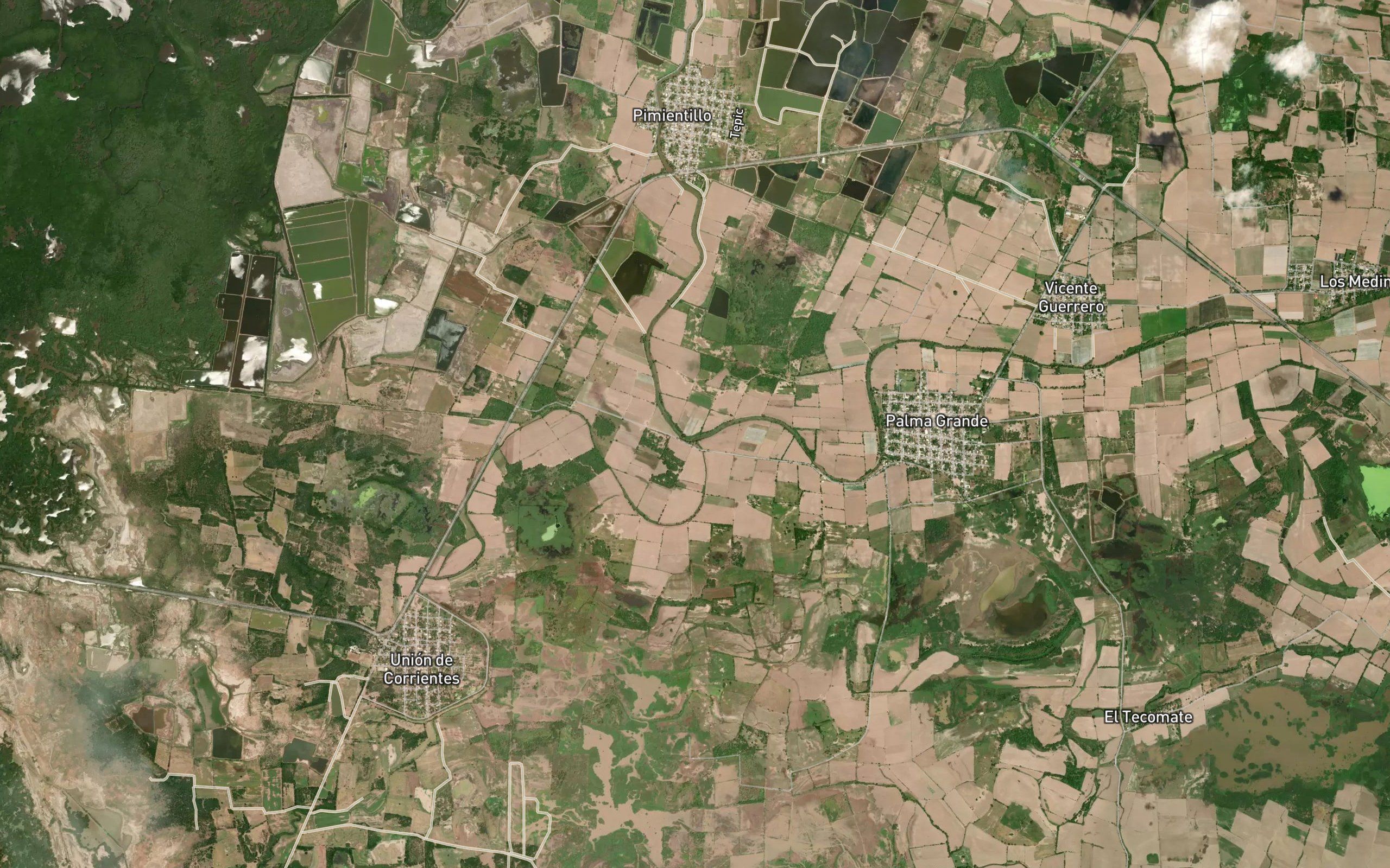 Estero La Palma
