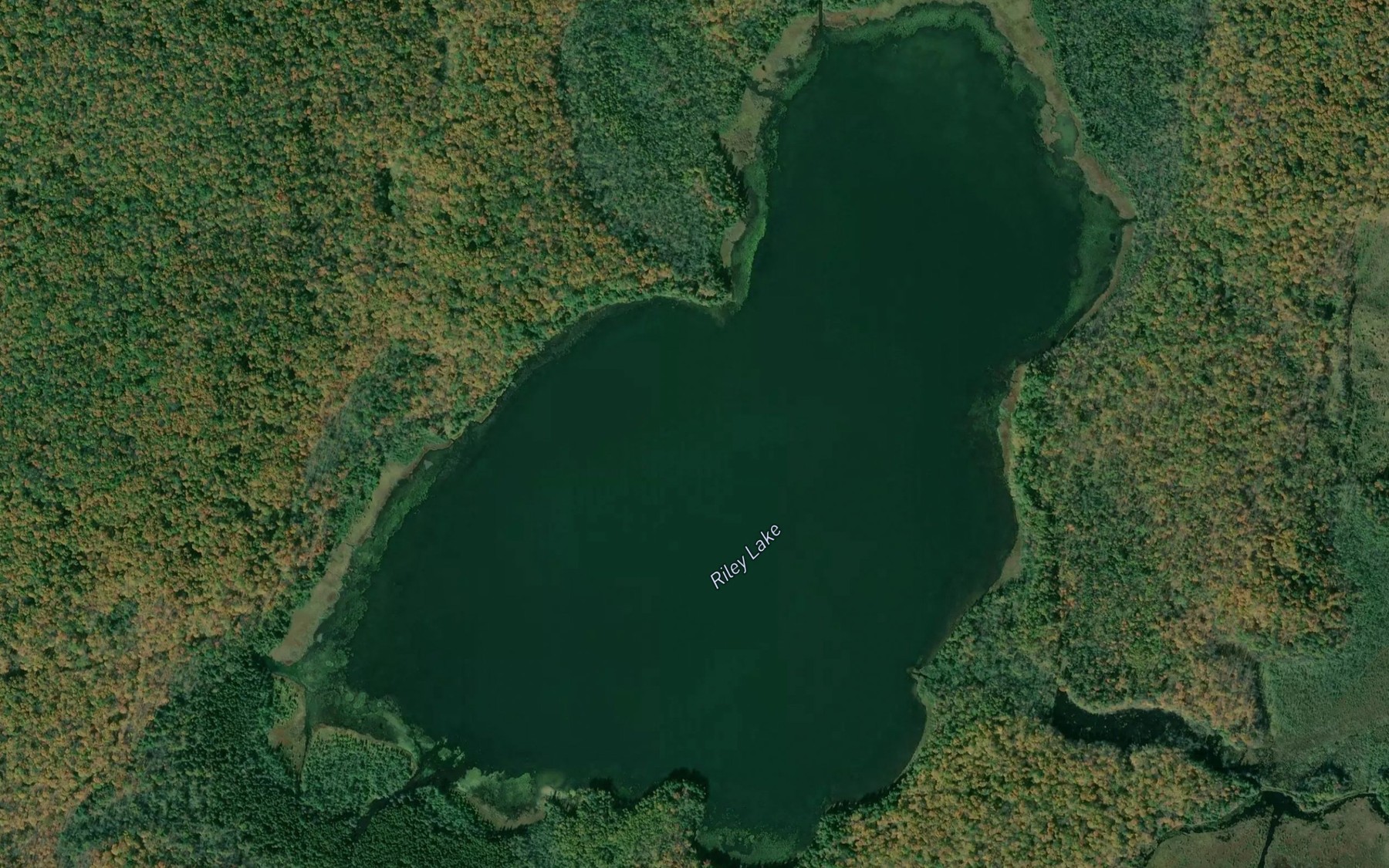 Satellite map of the Riley Lake