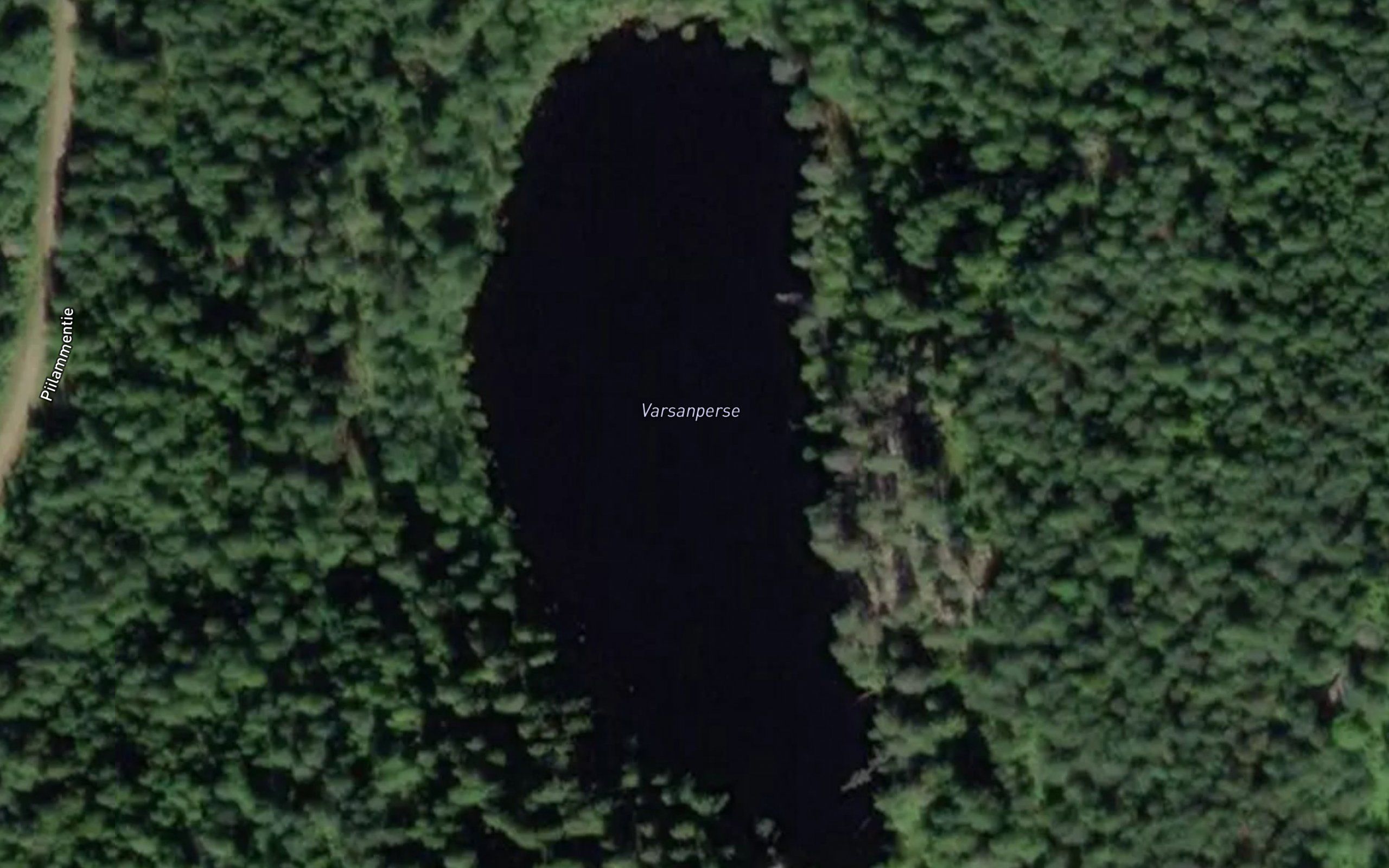 Varsanperse