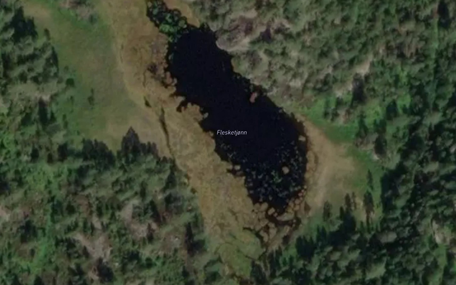 Satellite map of the Flesketjorn