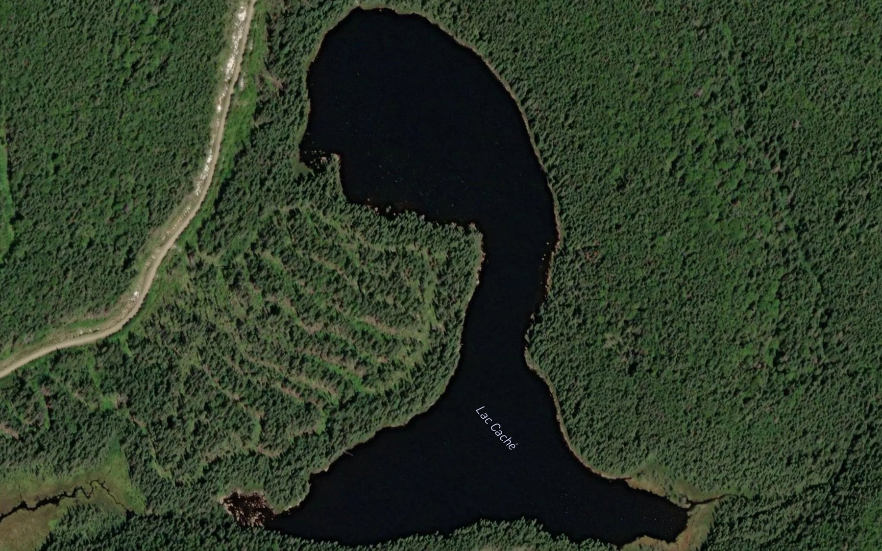 Satellite map of the Lac Cache Sud