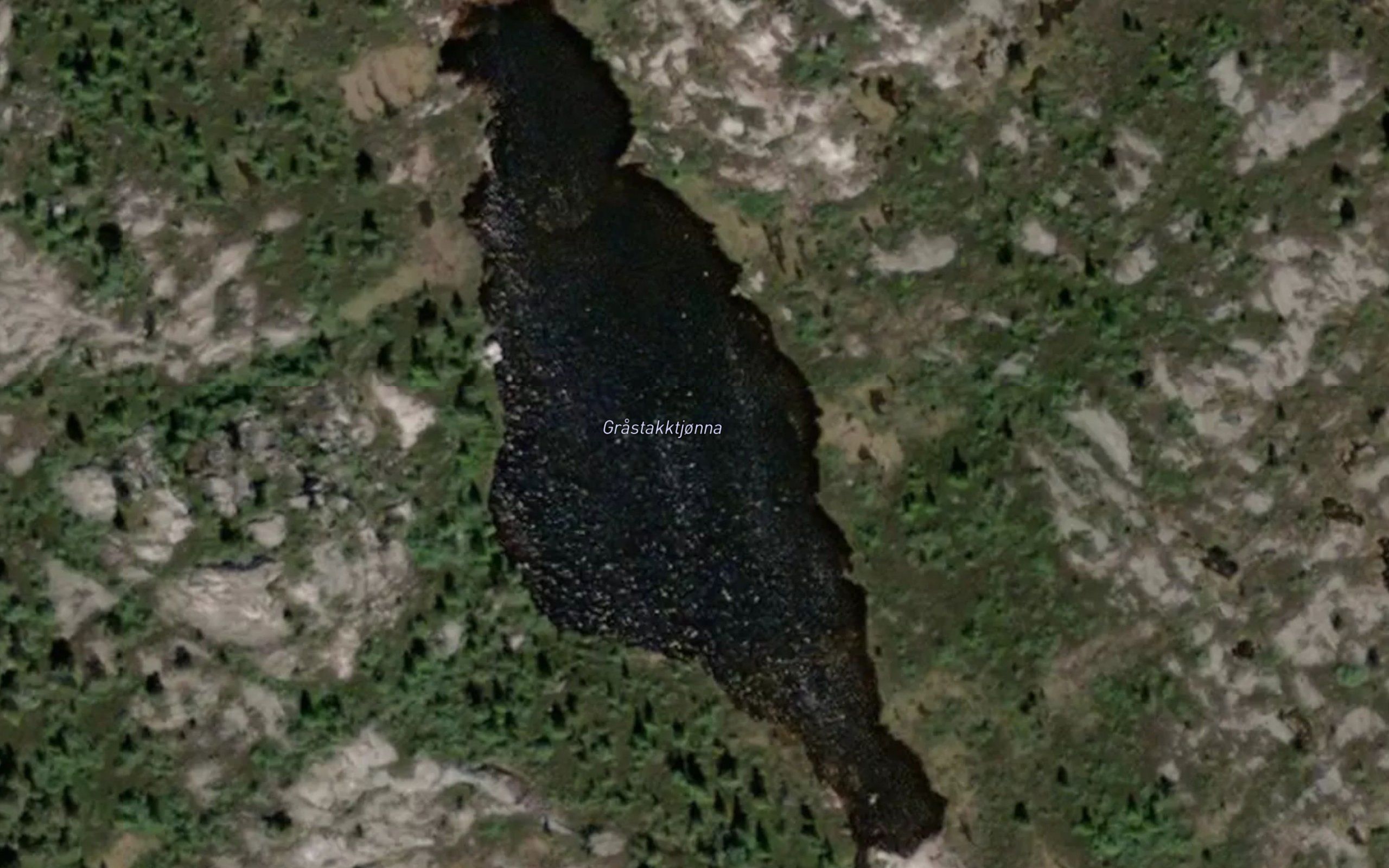 Grastakktjonna