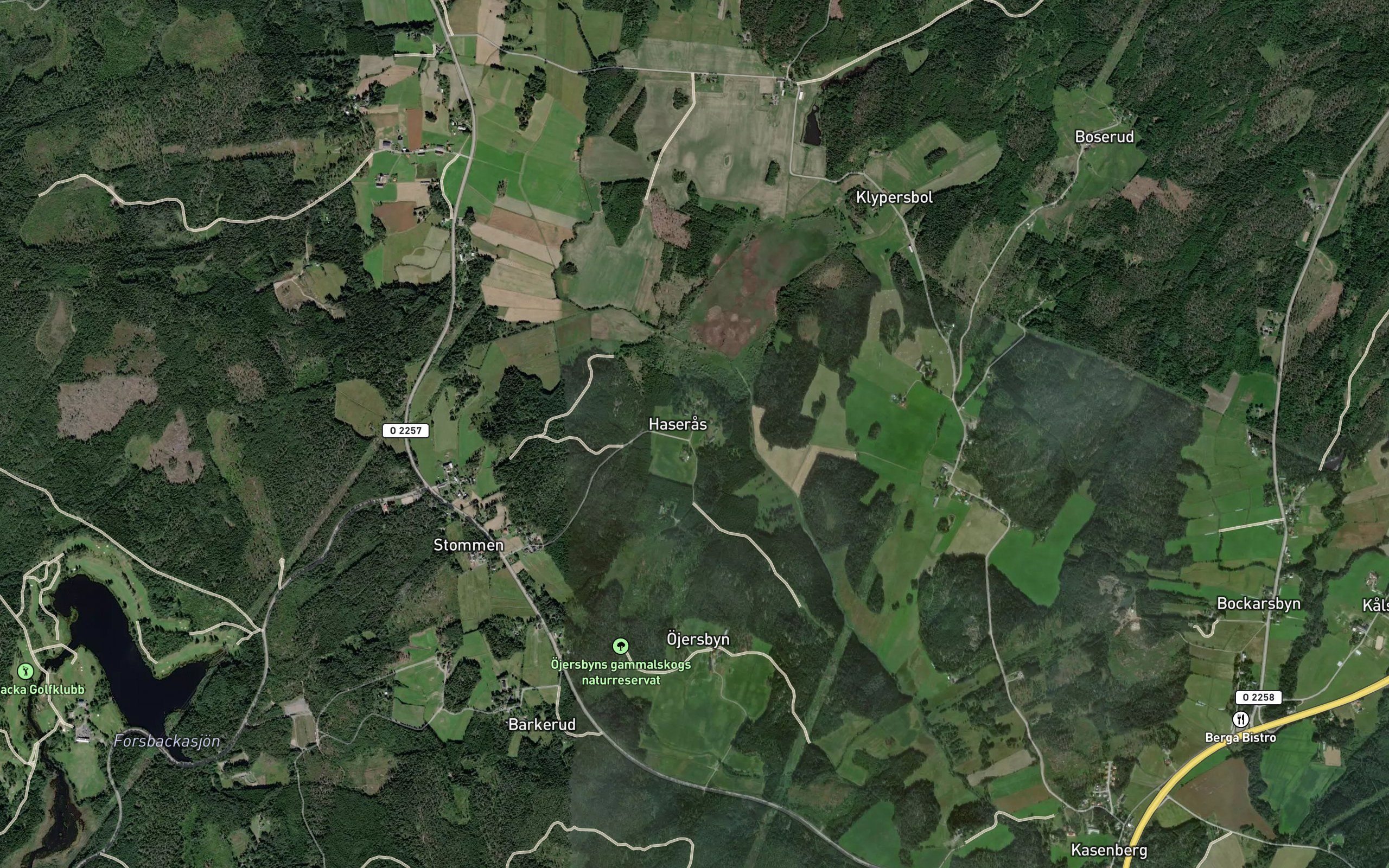 Harsjon