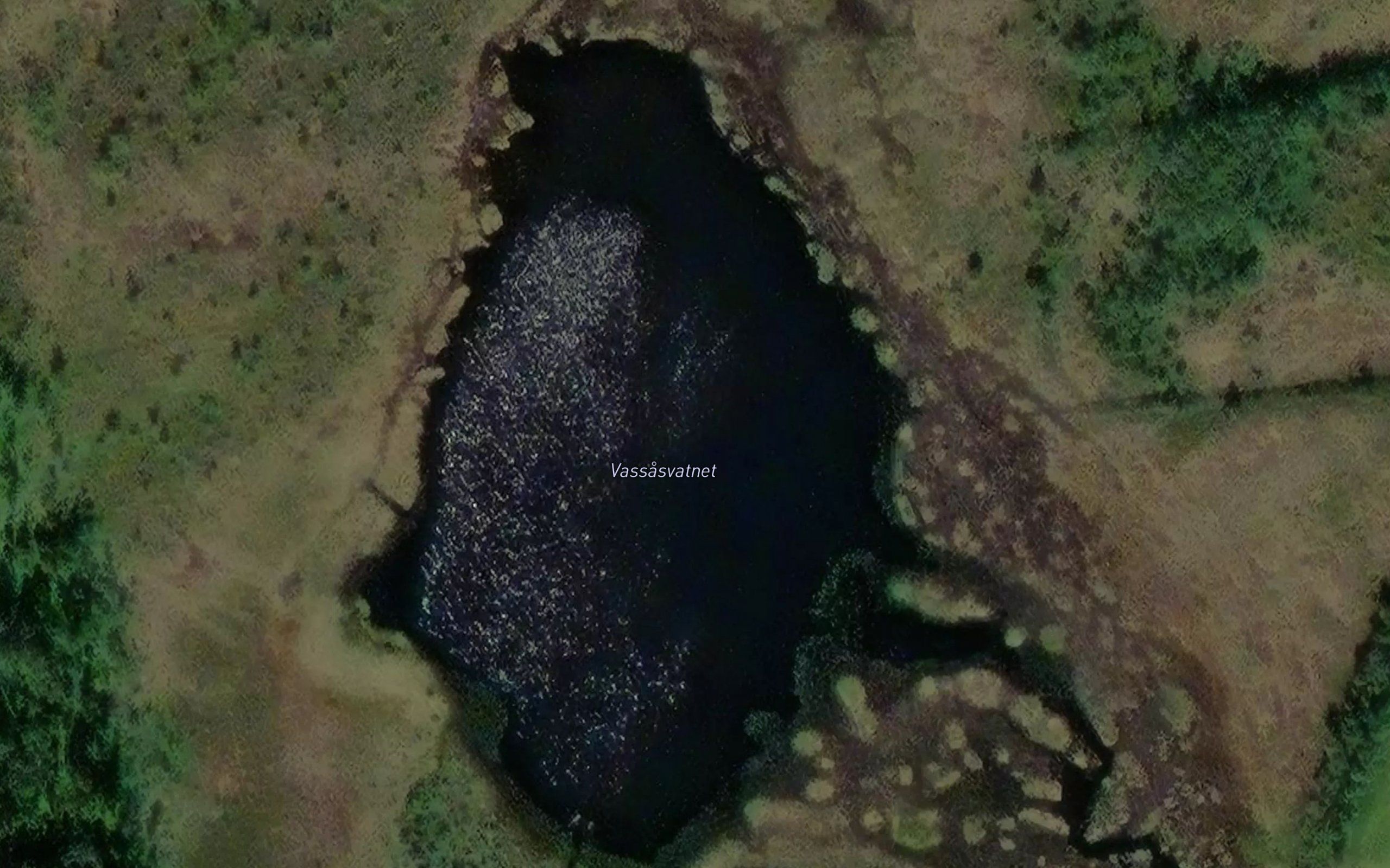 Vassasvatnet