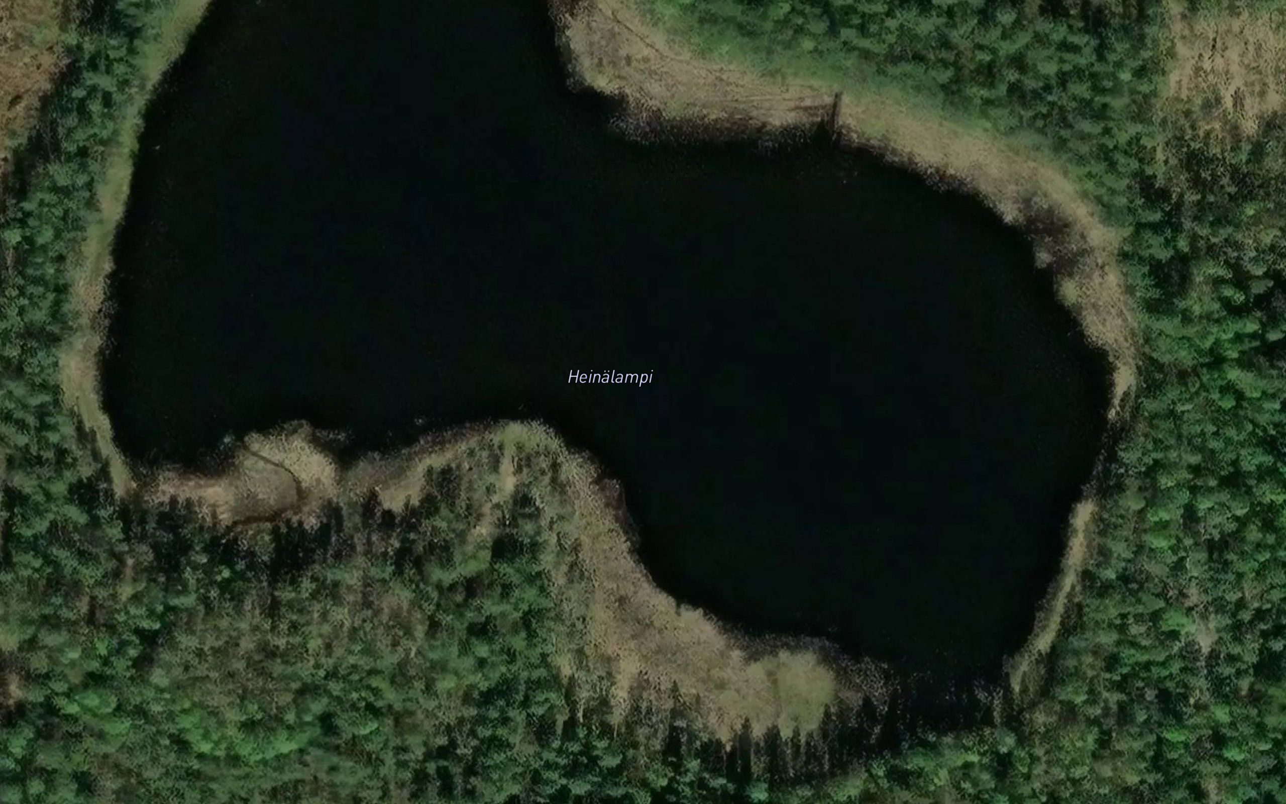 Heinalampi