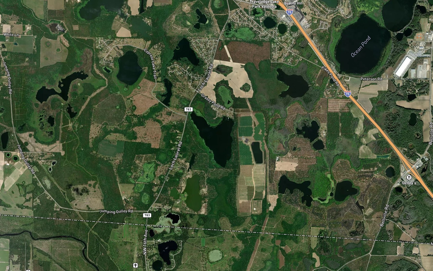 Satellite map of the Grassy Pond