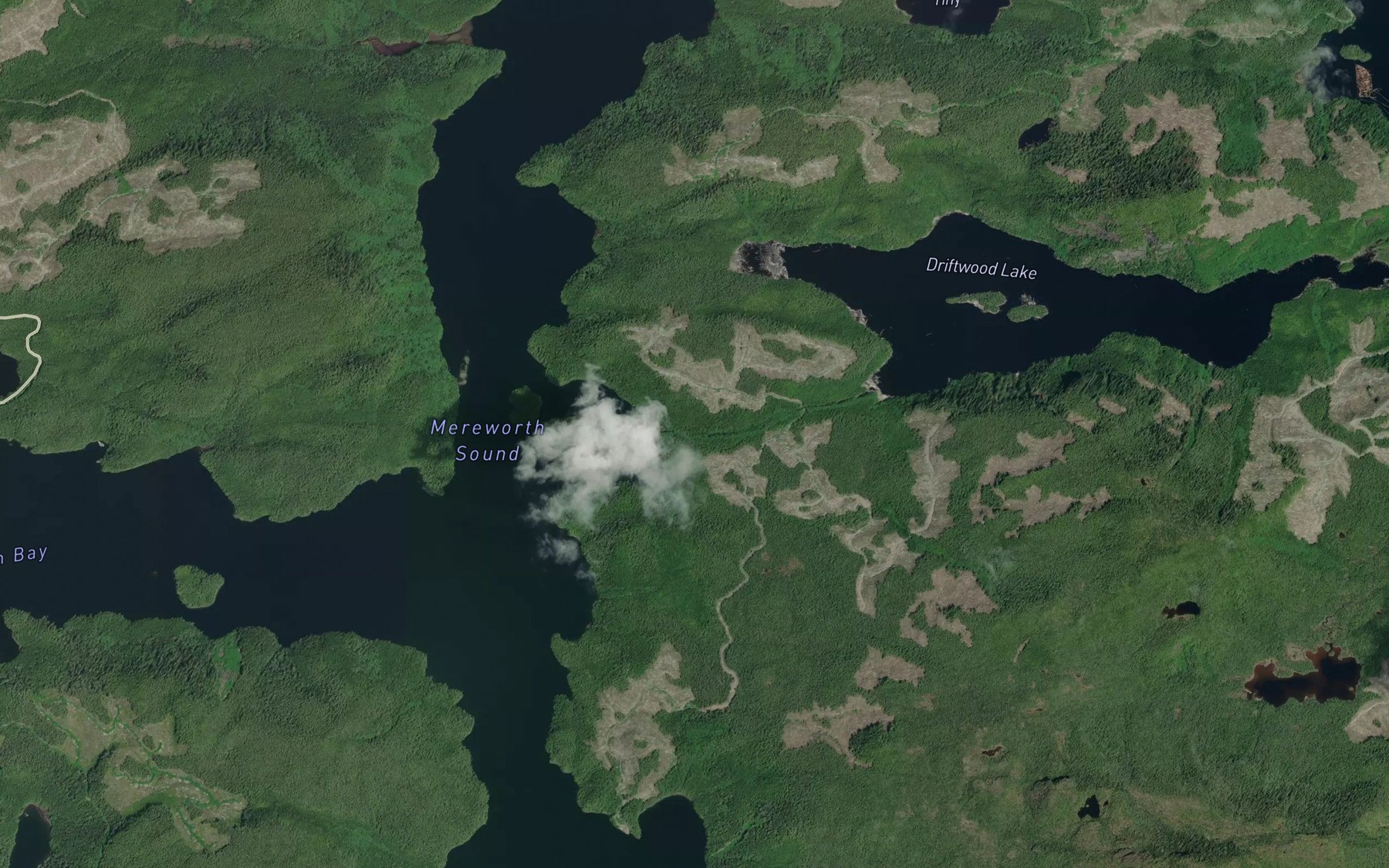 Satellite map of the Driftwood Creek