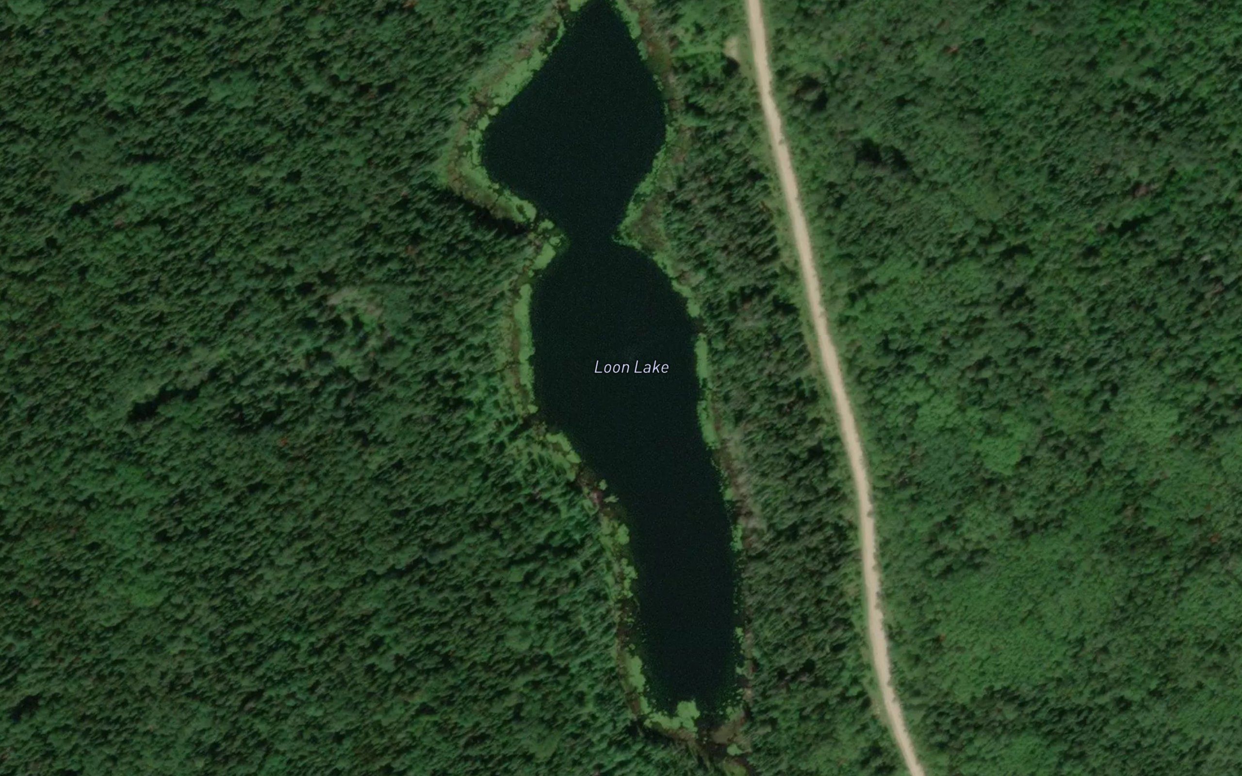 Loon Lake