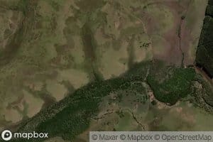 Arroyo de los Blanquillos