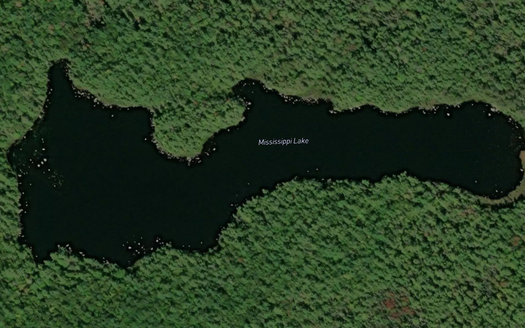 Satellite map of the Mississippi Lake
