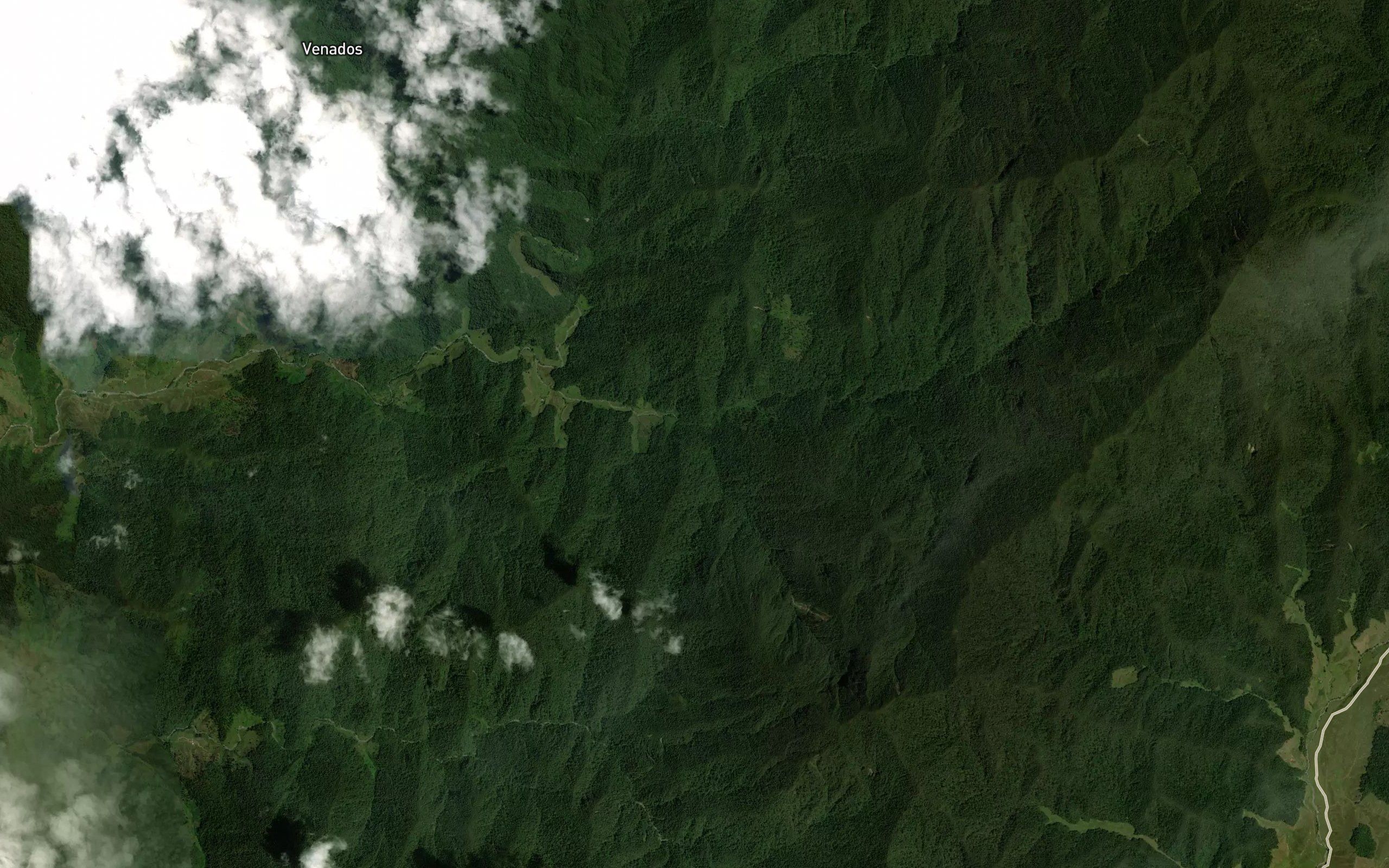 Quebrada El Oso