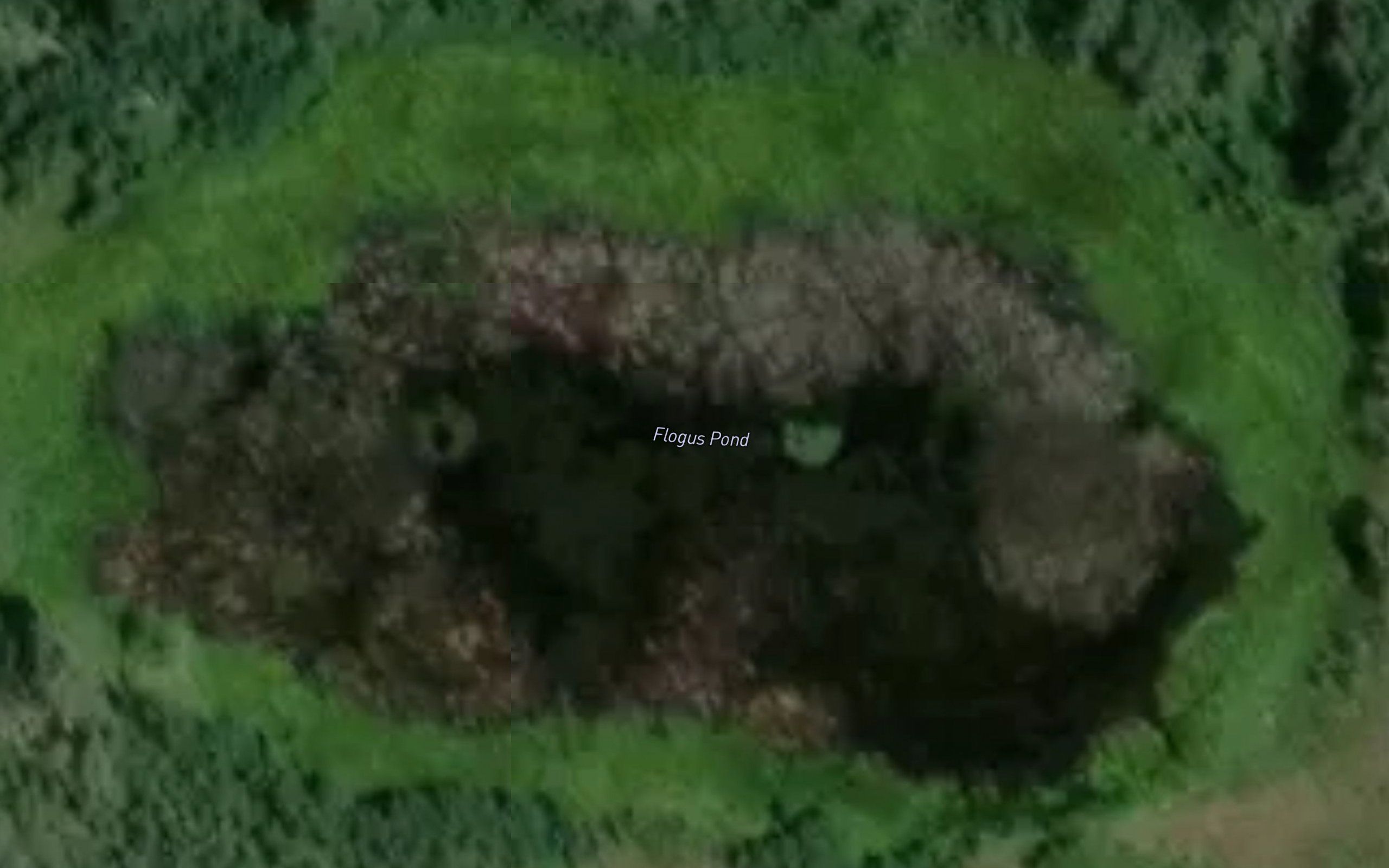 Flogus Pond