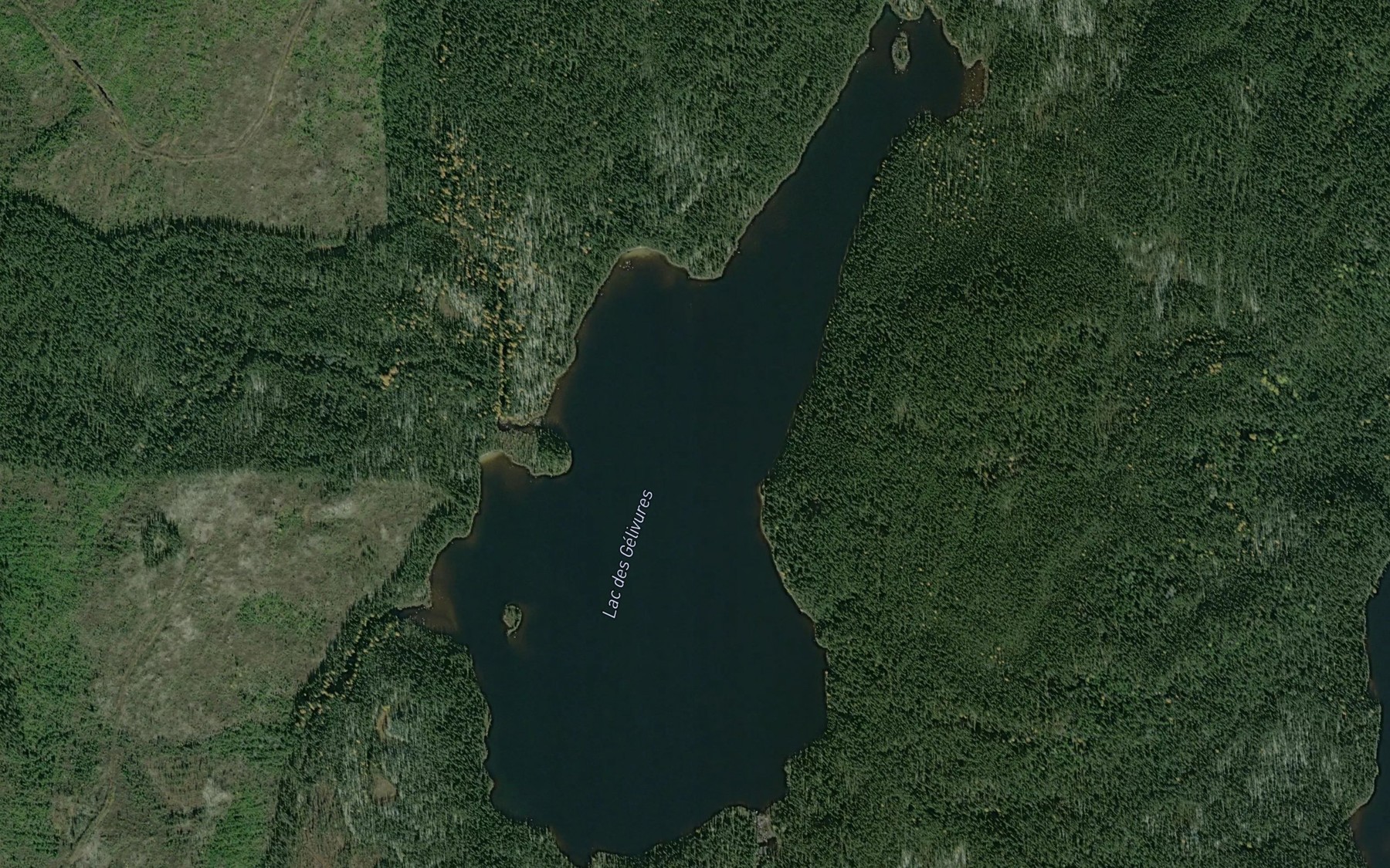Satellite map of the Lac des Gelivures