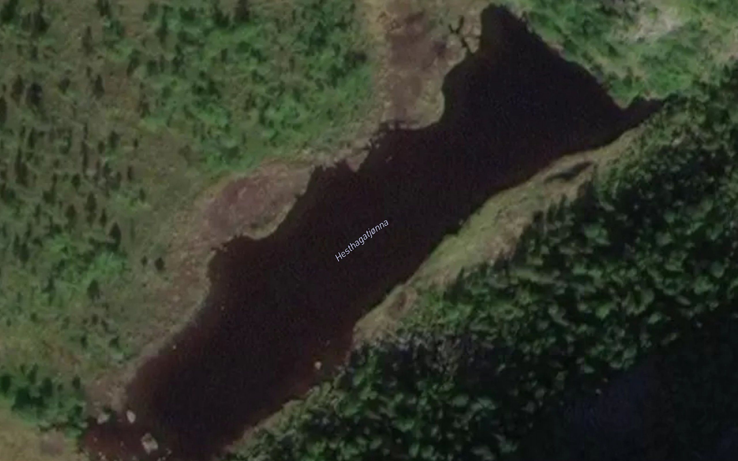 Hesthagatjonna